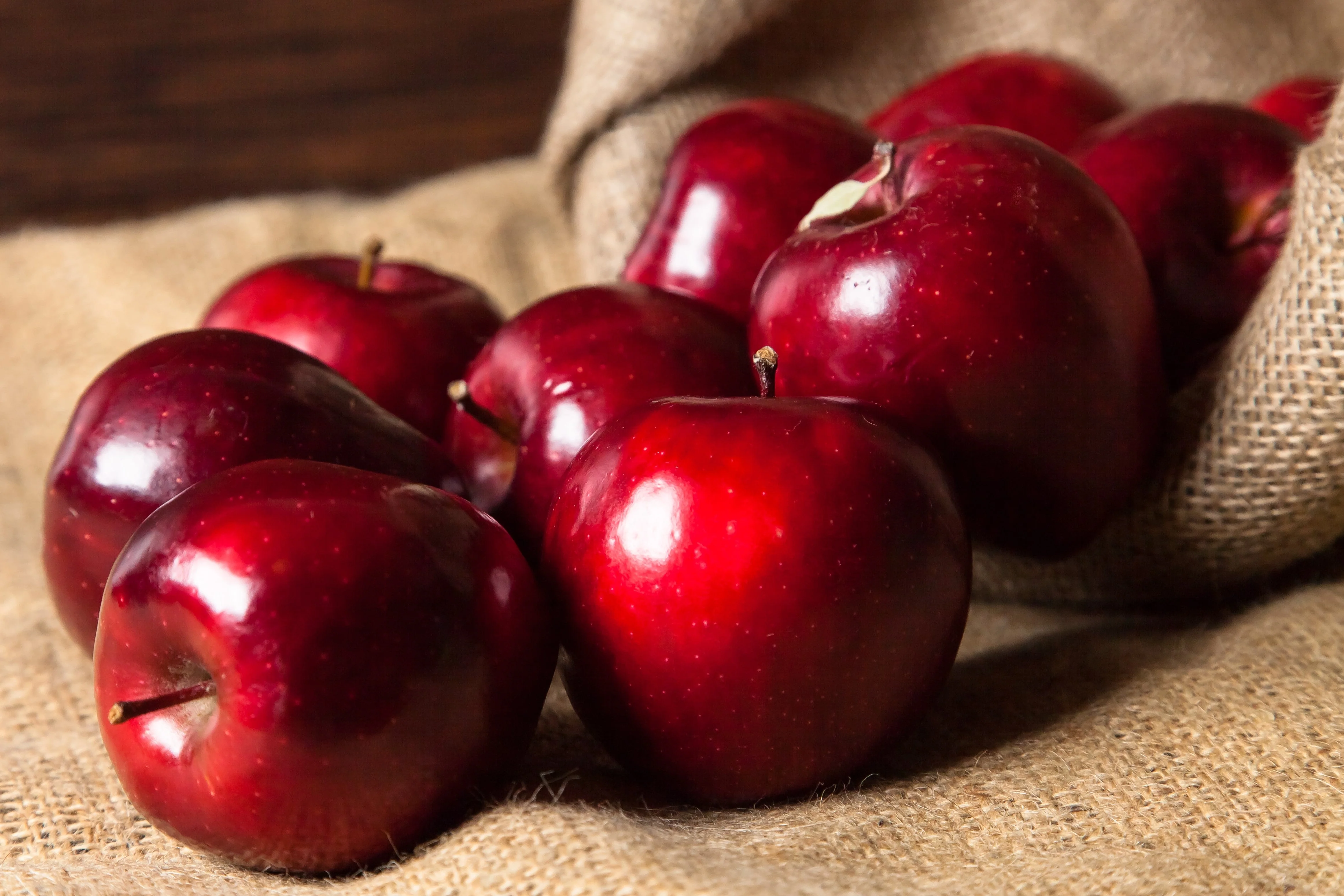 25 PARADISE APPLE Red Delicious Common Malus Pumila Domestica Fruit Tree Seeds - Image 7