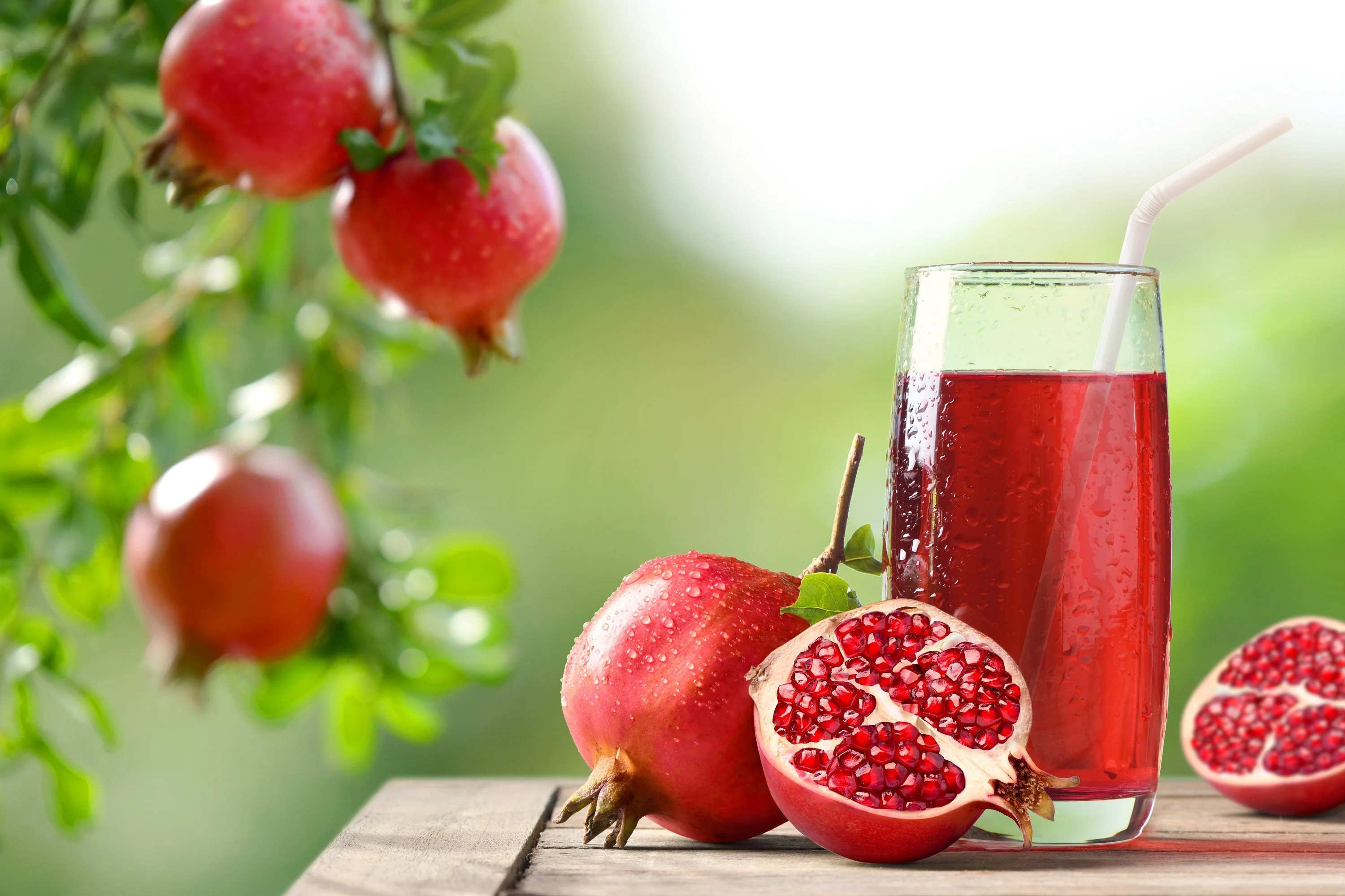 25 POMEGRANATE TREE Punica Granatum Red Fruit Seeds - Image 10