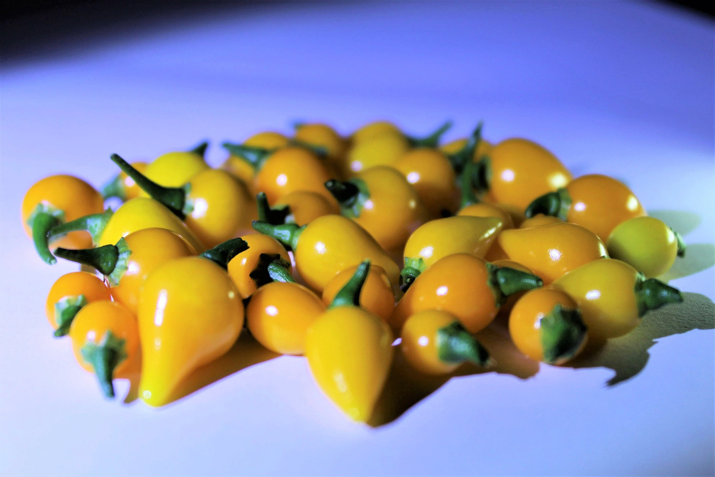 25 YELLOW BIQUINHO PEPPER Brazilian Chupetinho Capsicum Chinense Small Citrusy Sweet Semi Hot Chile Sweety Drop Vegetable Seeds - Image 2