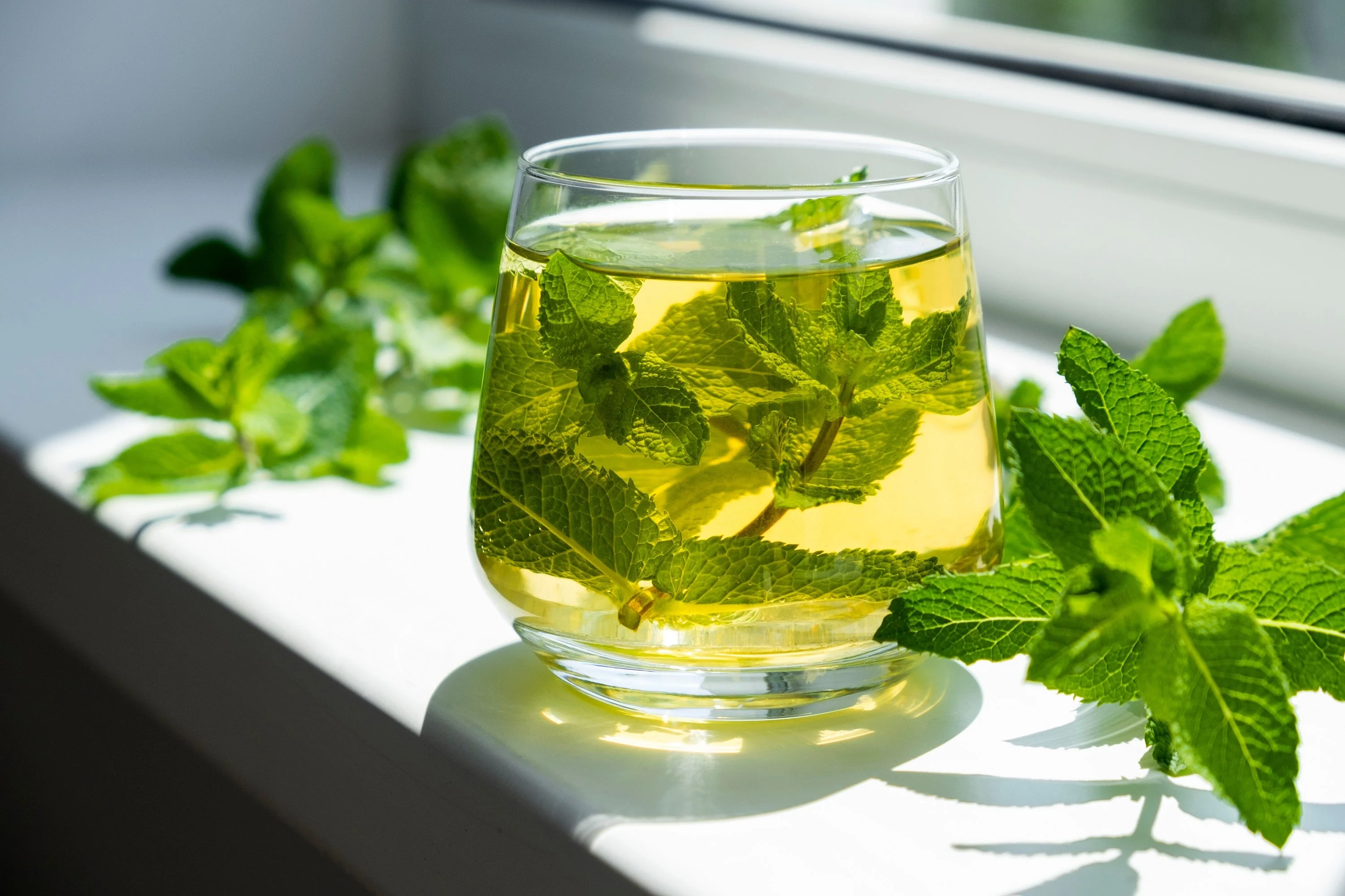 250 PEPPERMINT MINT Mentha Piperita Herb Flower Seeds - Image 7