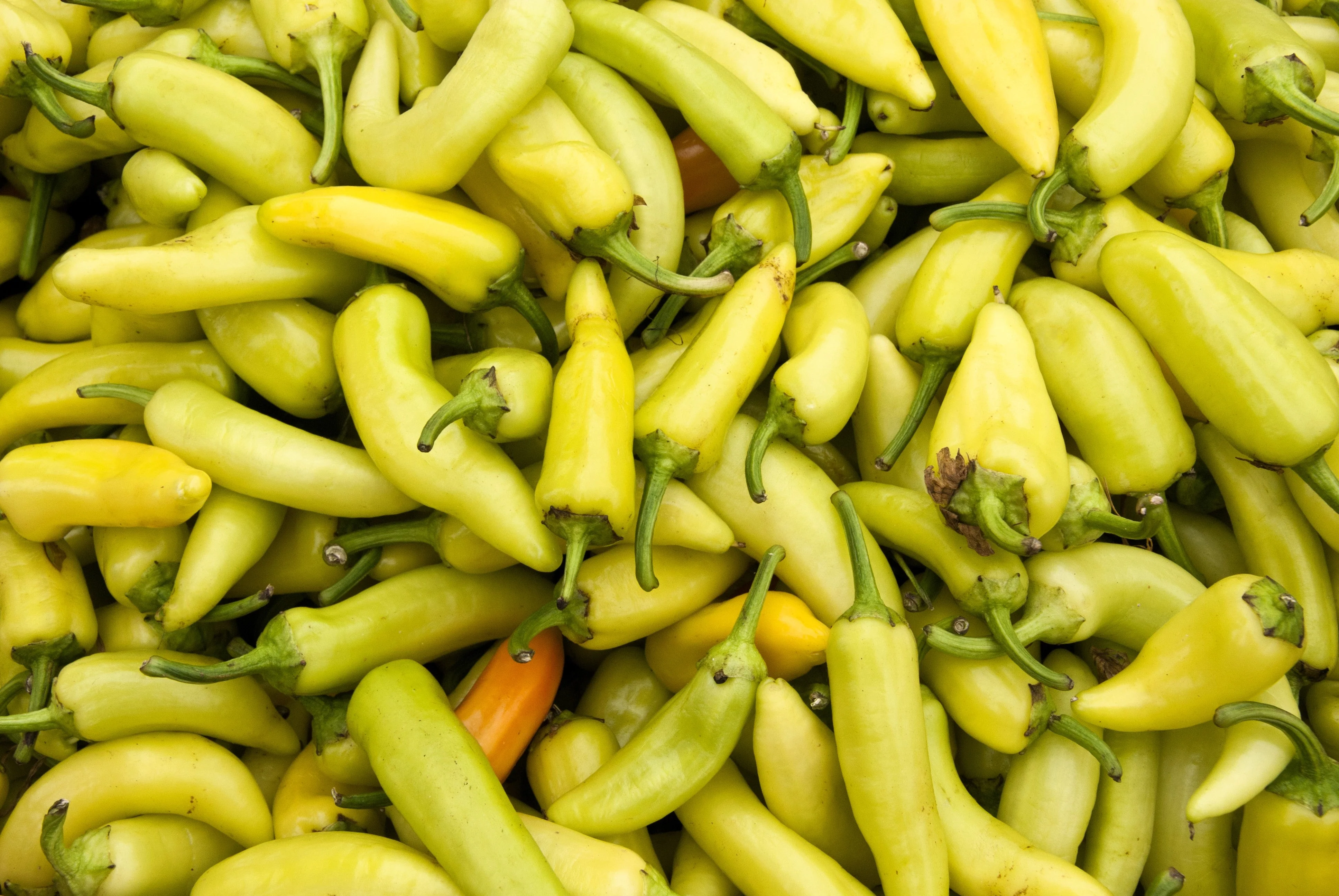 250 SWEET BANANA PEPPER Hungarian Capsicum Annuum Vegetable Seeds - Image 6
