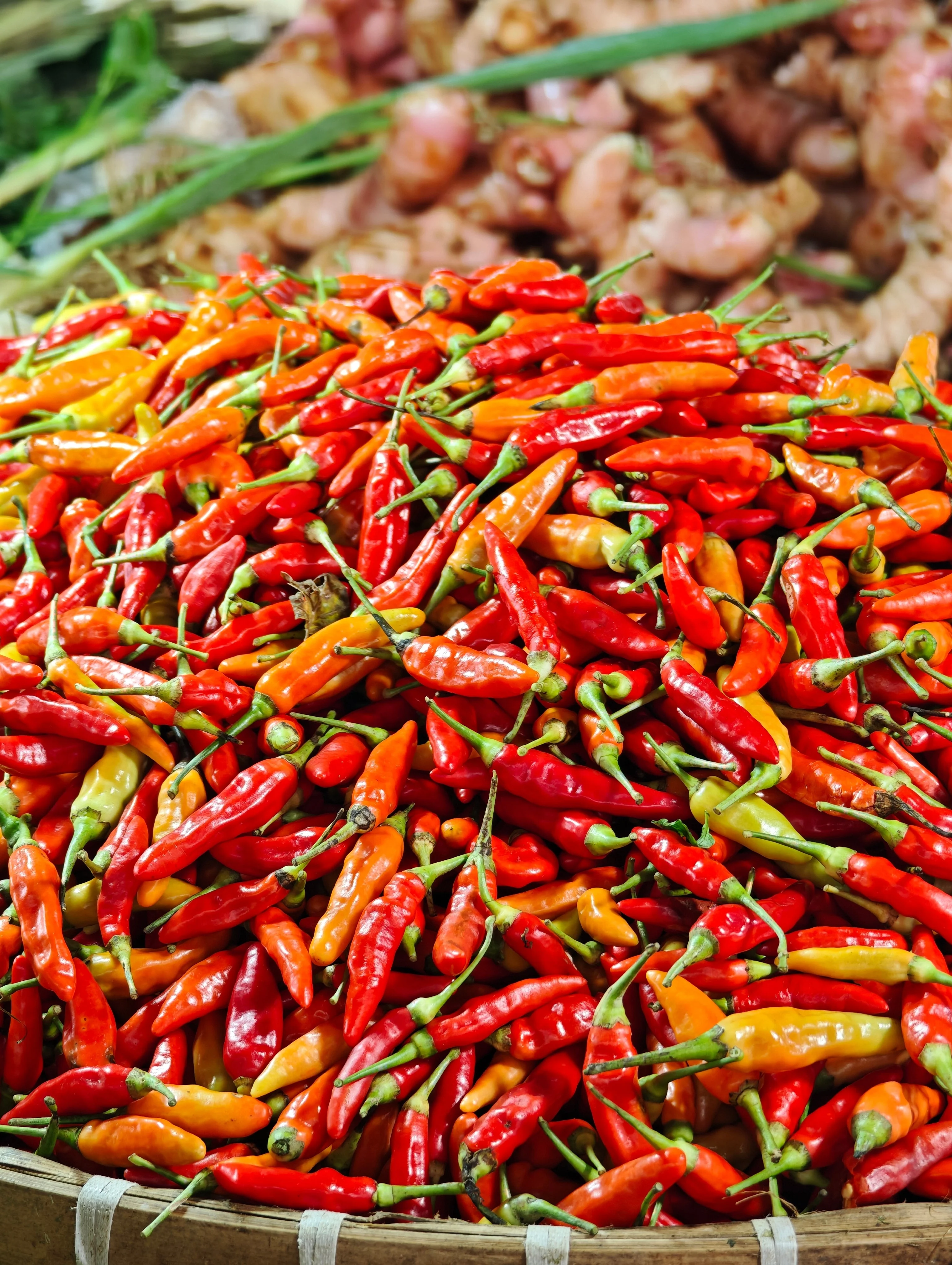 30 BIRDS Eye CHILI PEPPER (Chiltepin Pepper) Capsicum Frutescens Vegetable Seeds - Image 5