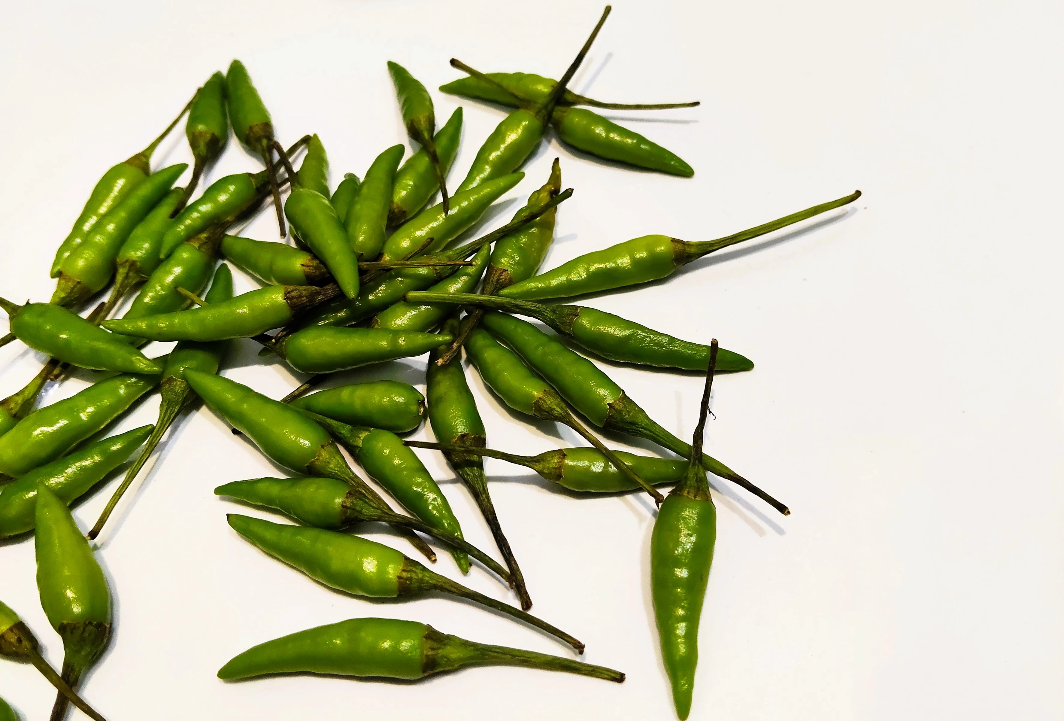 30 BIRDS Eye CHILI PEPPER (Chiltepin Pepper) Capsicum Frutescens Vegetable Seeds - Image 8