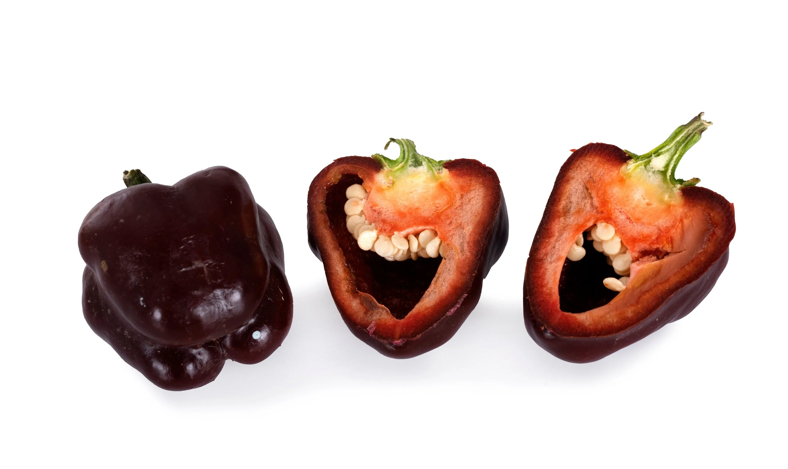 30 CHOCOLATE BEAUTY Bell PEPPER Sweet Brown Capsicum Annuum Vegetable Seeds - Image 7