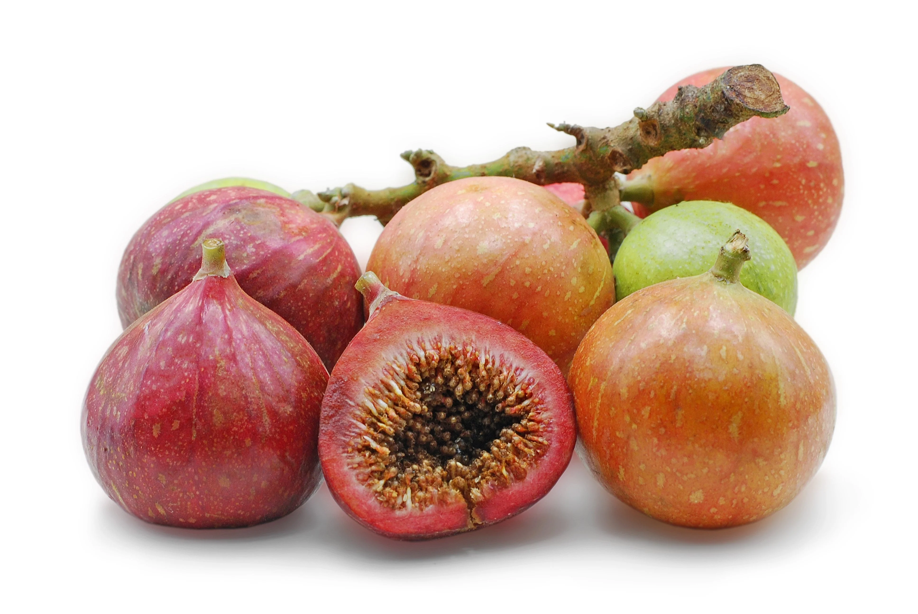 30 CLUSTER FIG Ficus Racemosa Red River Indian Guilar Tree Houseplant Seeds - Image 9