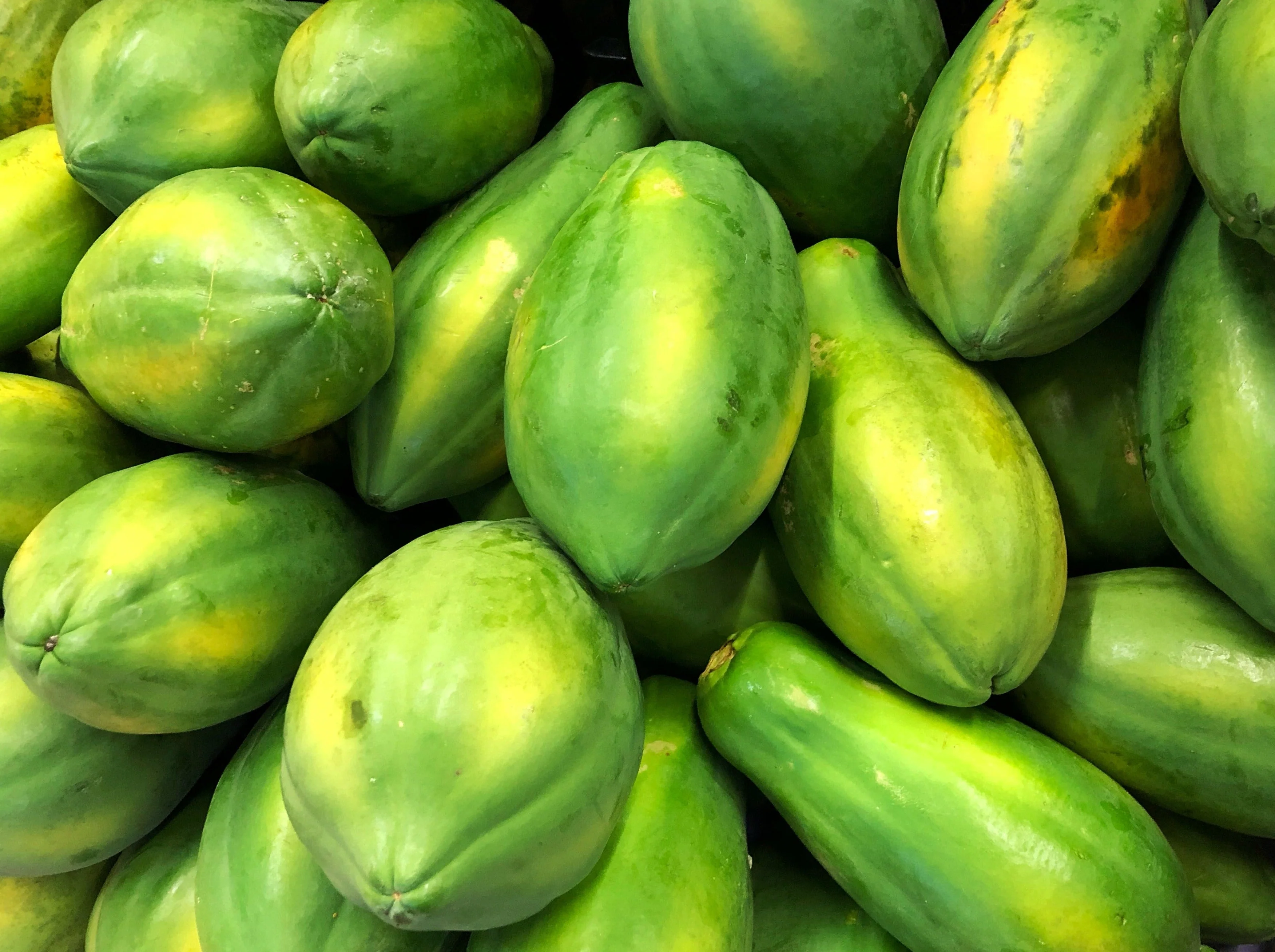 30 PAPAYA MELON Fruit TREE Carica Papaya Seeds - Image 5