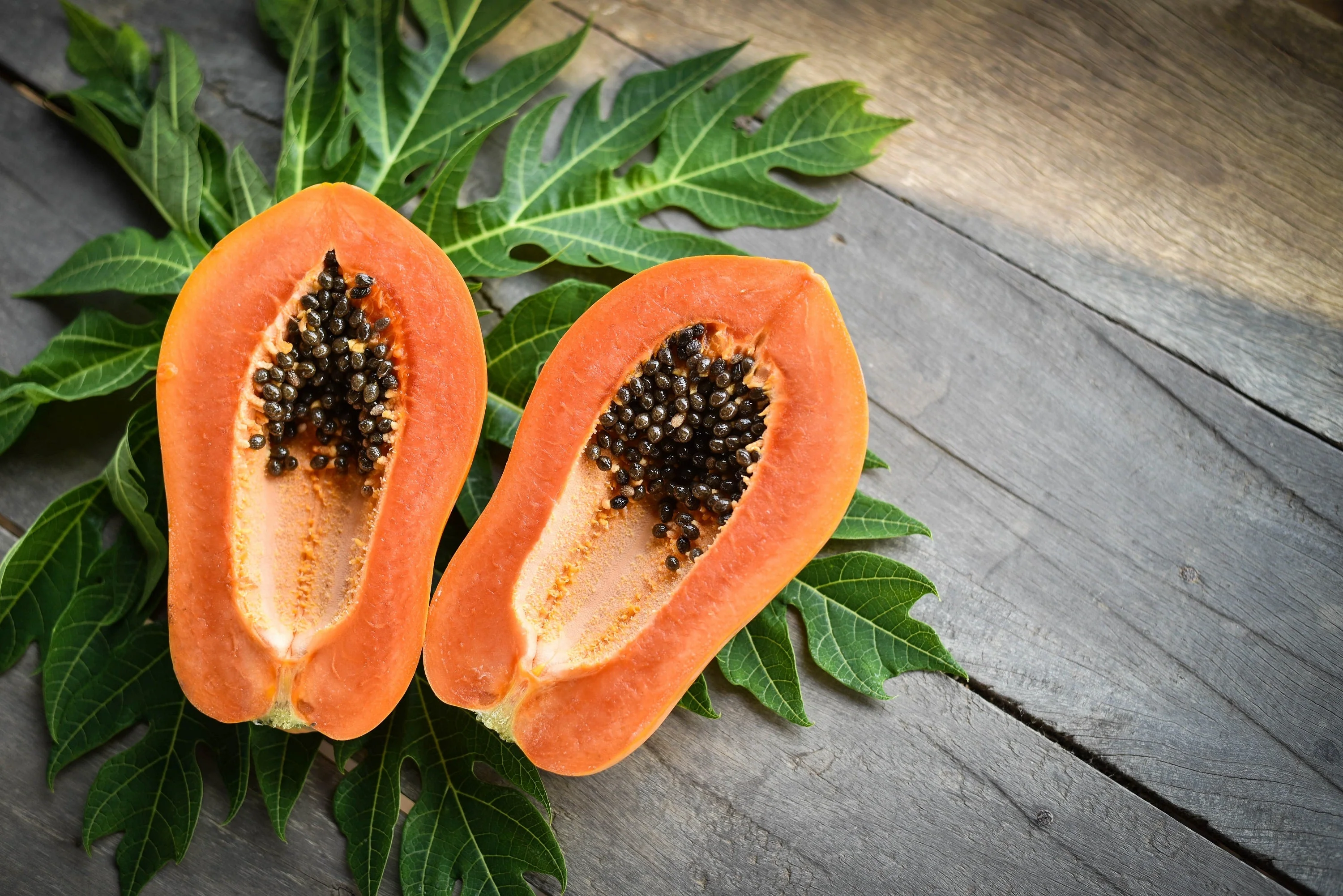 30 PAPAYA MELON Fruit TREE Carica Papaya Seeds - Image 9