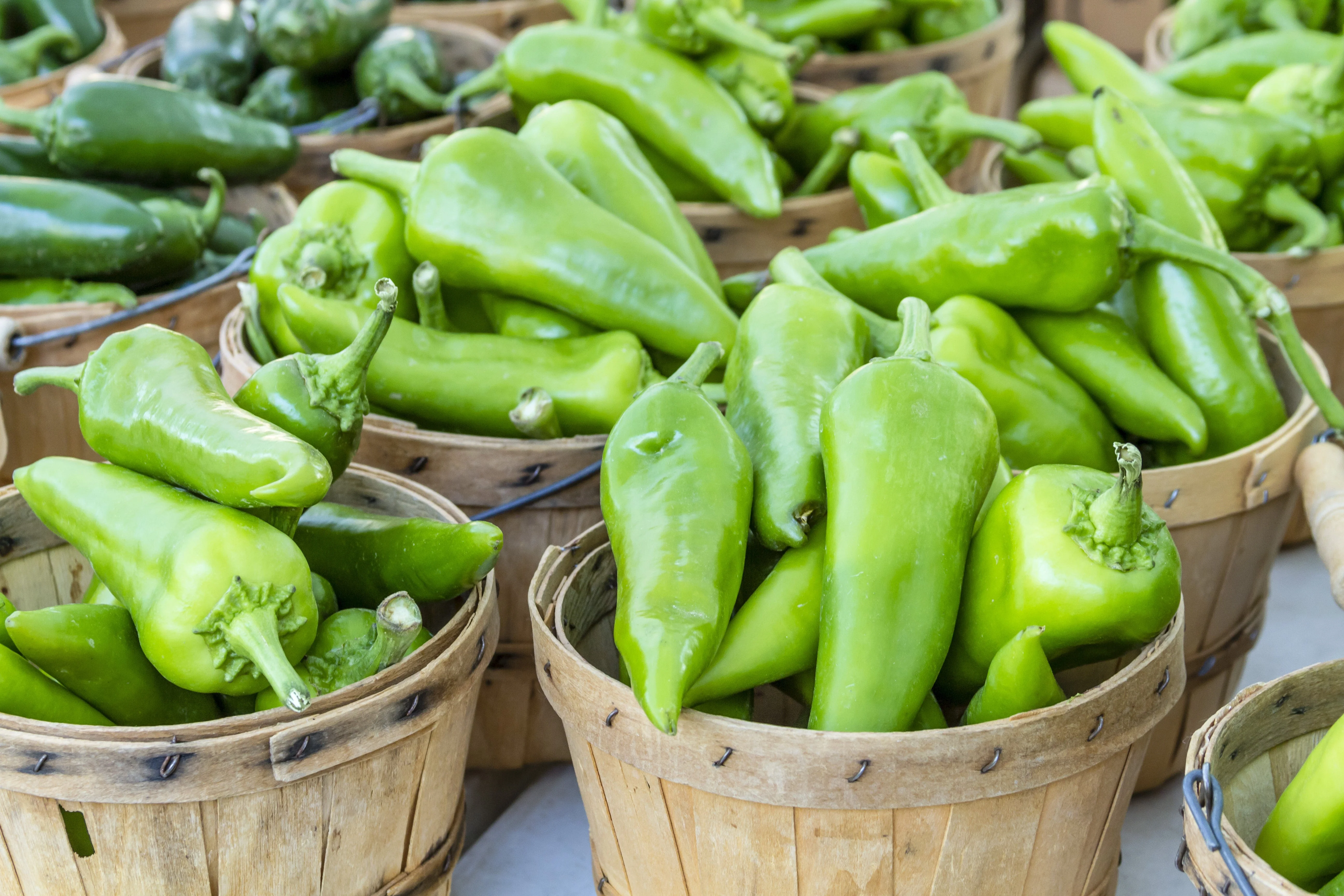 300 ANAHEIM CHILI PEPPER (New Mexico Chili Pepper) Capsicum Annuum Vegetable Seeds - Image 4