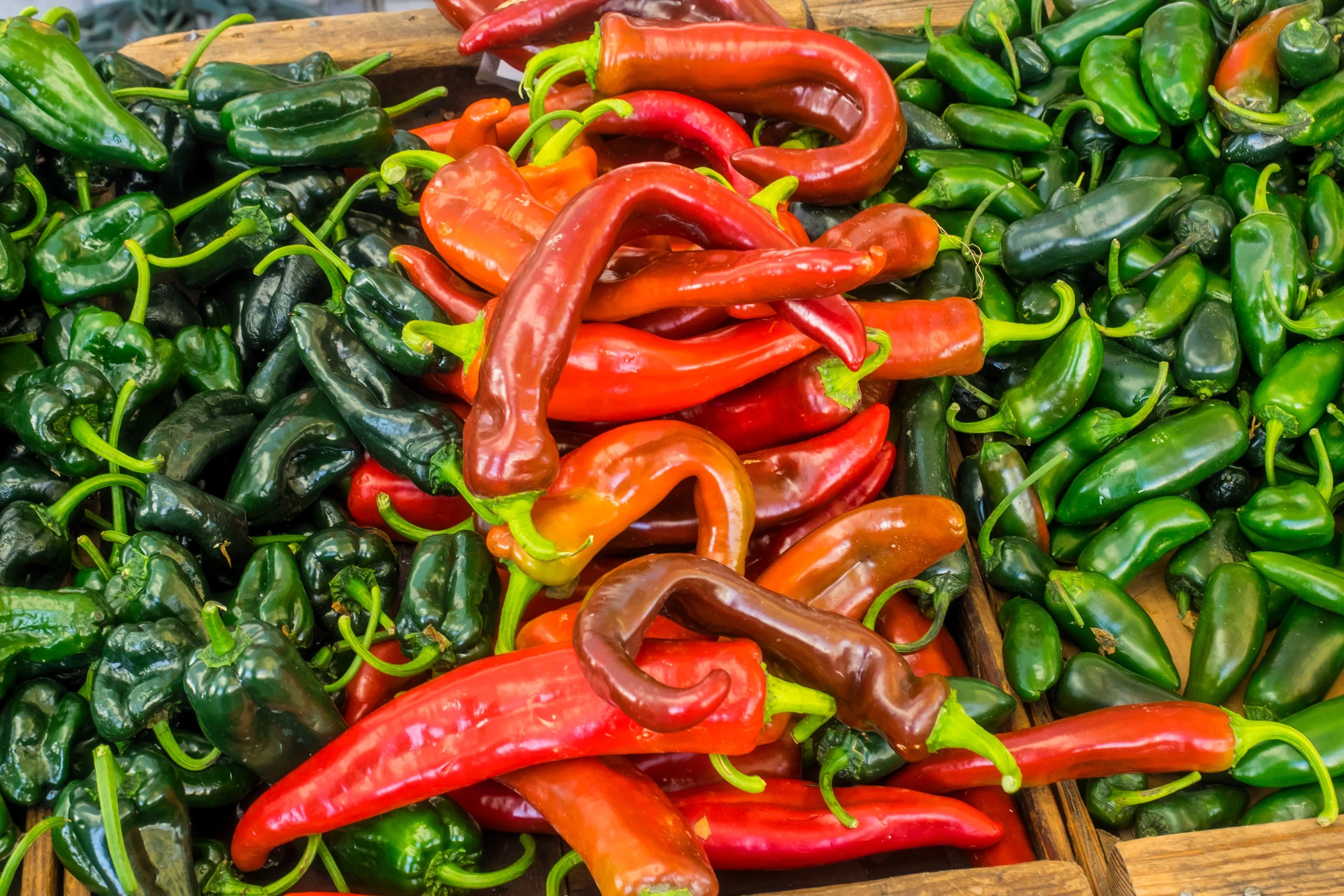 300 ANAHEIM CHILI PEPPER (New Mexico Chili Pepper) Capsicum Annuum Vegetable Seeds - Image 5