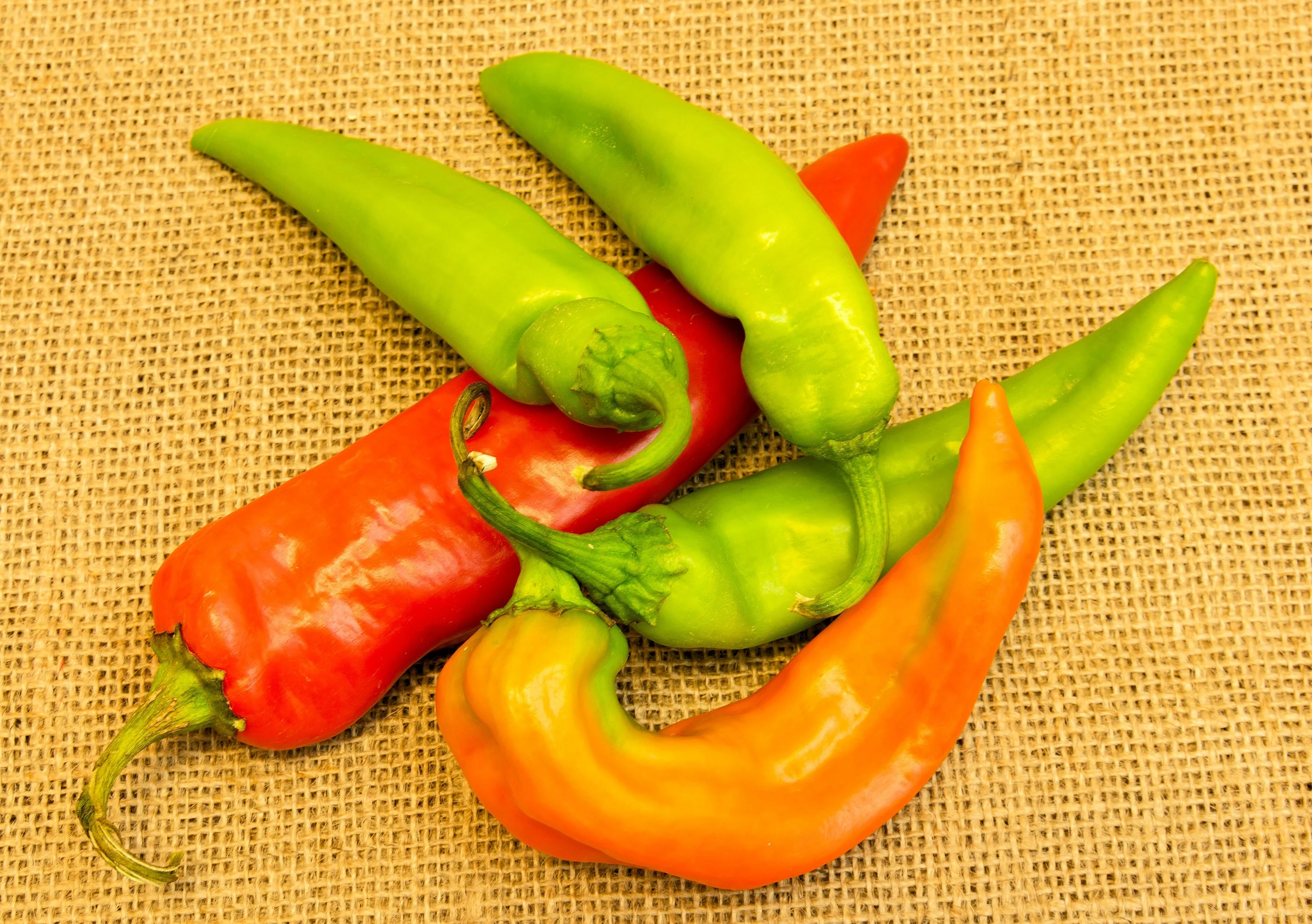 300 ANAHEIM CHILI PEPPER (New Mexico Chili Pepper) Capsicum Annuum Vegetable Seeds - Image 6