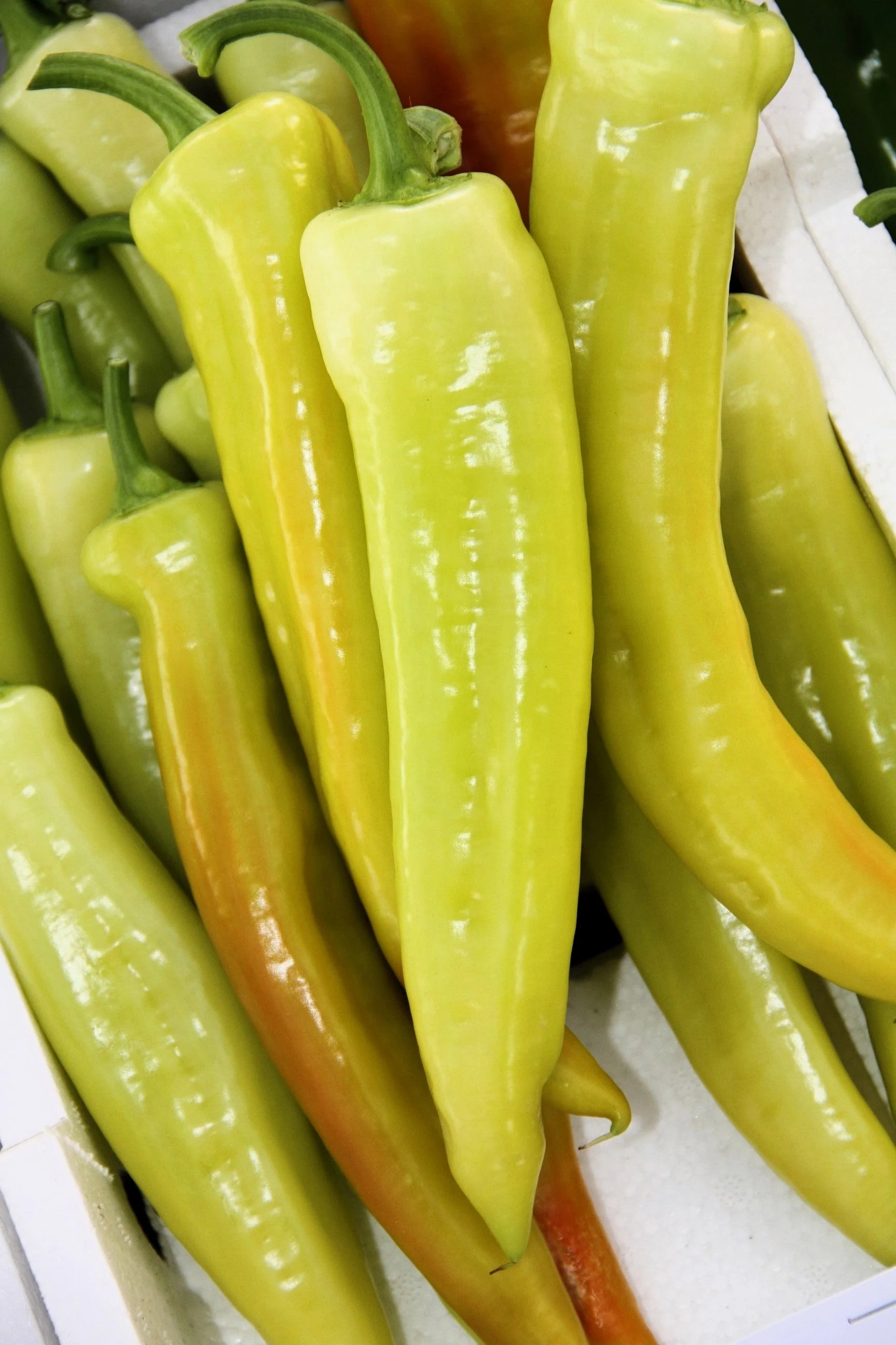 300 HUNGARIAN HOT Wax PEPPER (Hot Banana Pepper) Capsicum Annuum Vegetable Seeds - Image 4