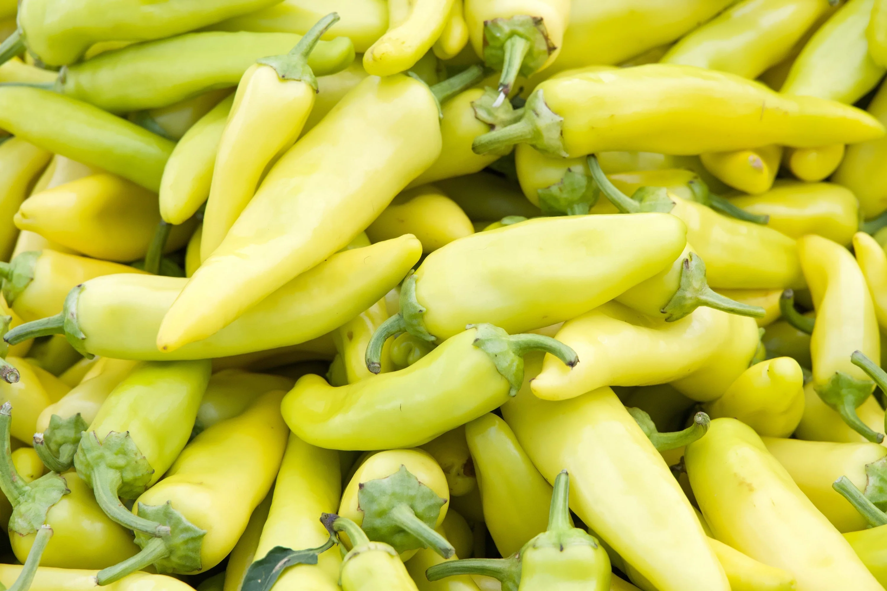 300 HUNGARIAN HOT Wax PEPPER (Hot Banana Pepper) Capsicum Annuum Vegetable Seeds - Image 6