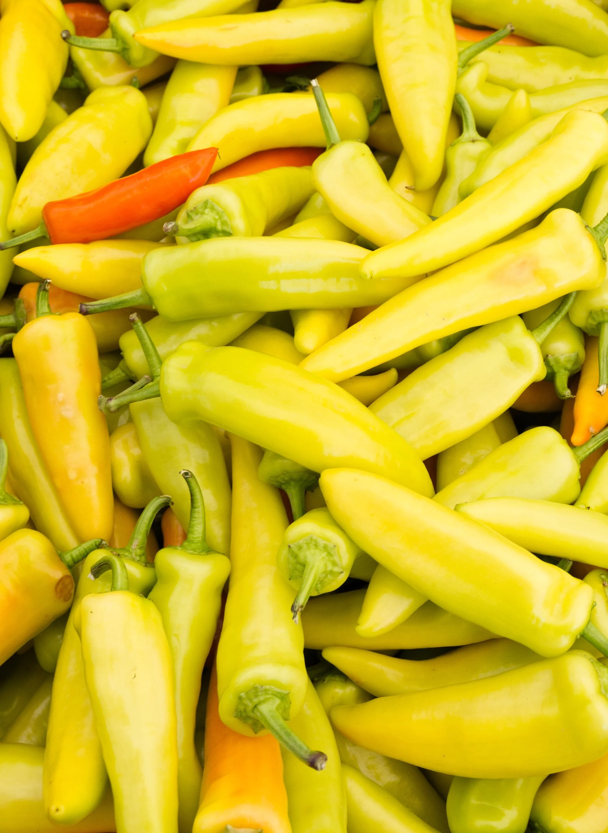300 HUNGARIAN HOT Wax PEPPER (Hot Banana Pepper) Capsicum Annuum Vegetable Seeds - Image 8