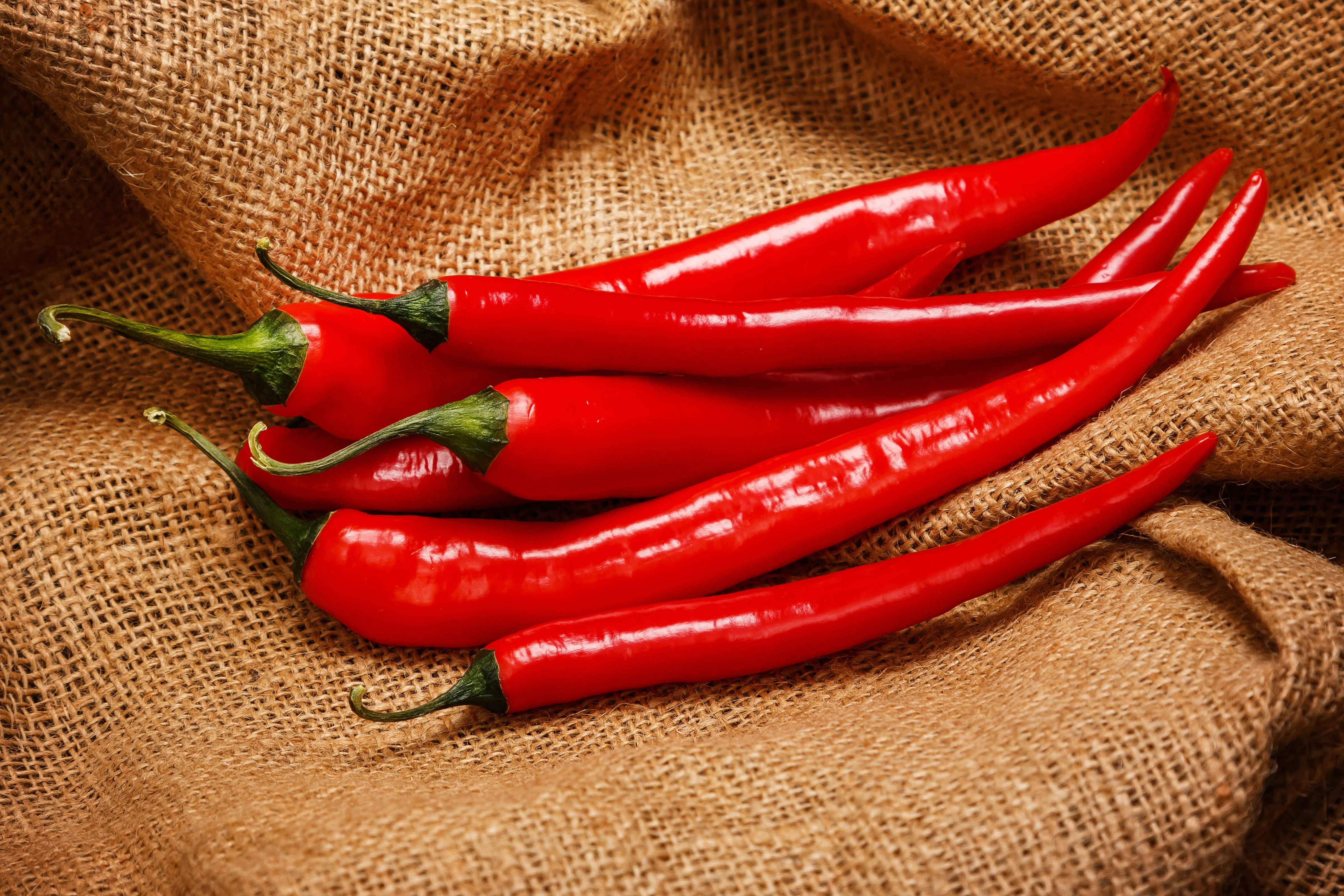 300 LONG Red CAYENNE PEPPER Capsicum Annuum Vegetable Seeds - Image 4