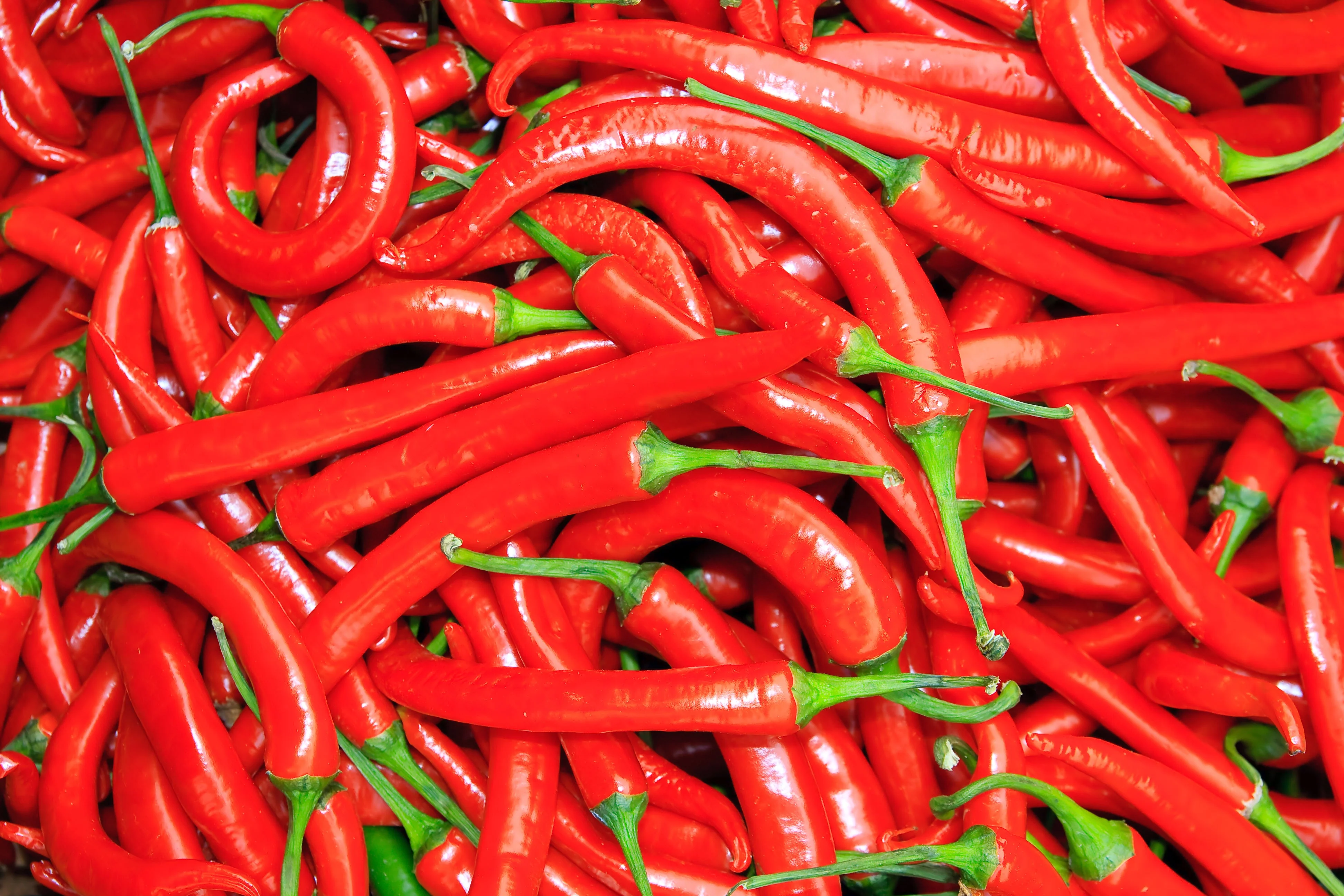 300 LONG Red CAYENNE PEPPER Capsicum Annuum Vegetable Seeds - Image 6