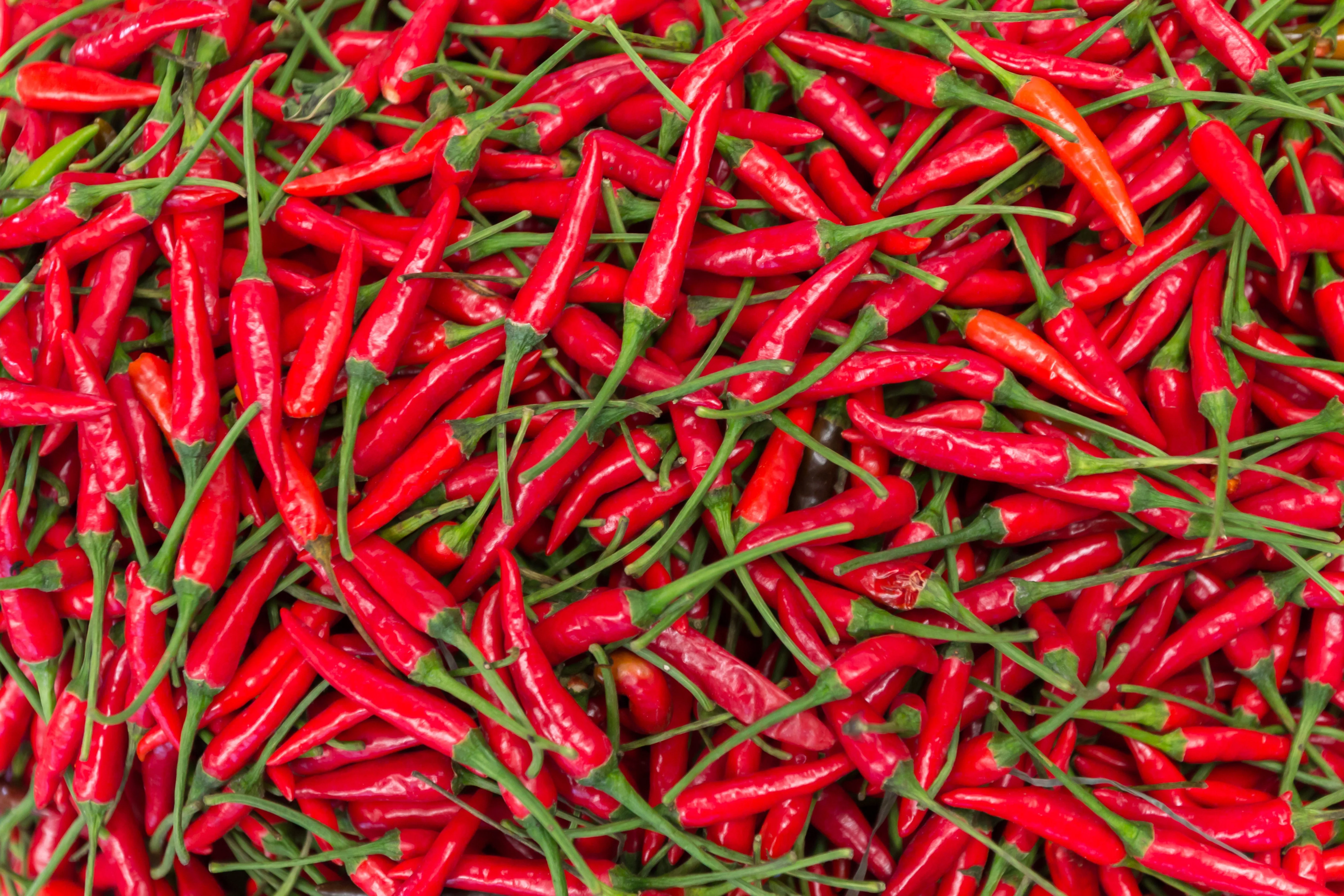 300 THIN CAYENNE PEPPER Hot Chili Long Green Red Slim Capsicum Vegetable Seeds - Image 4