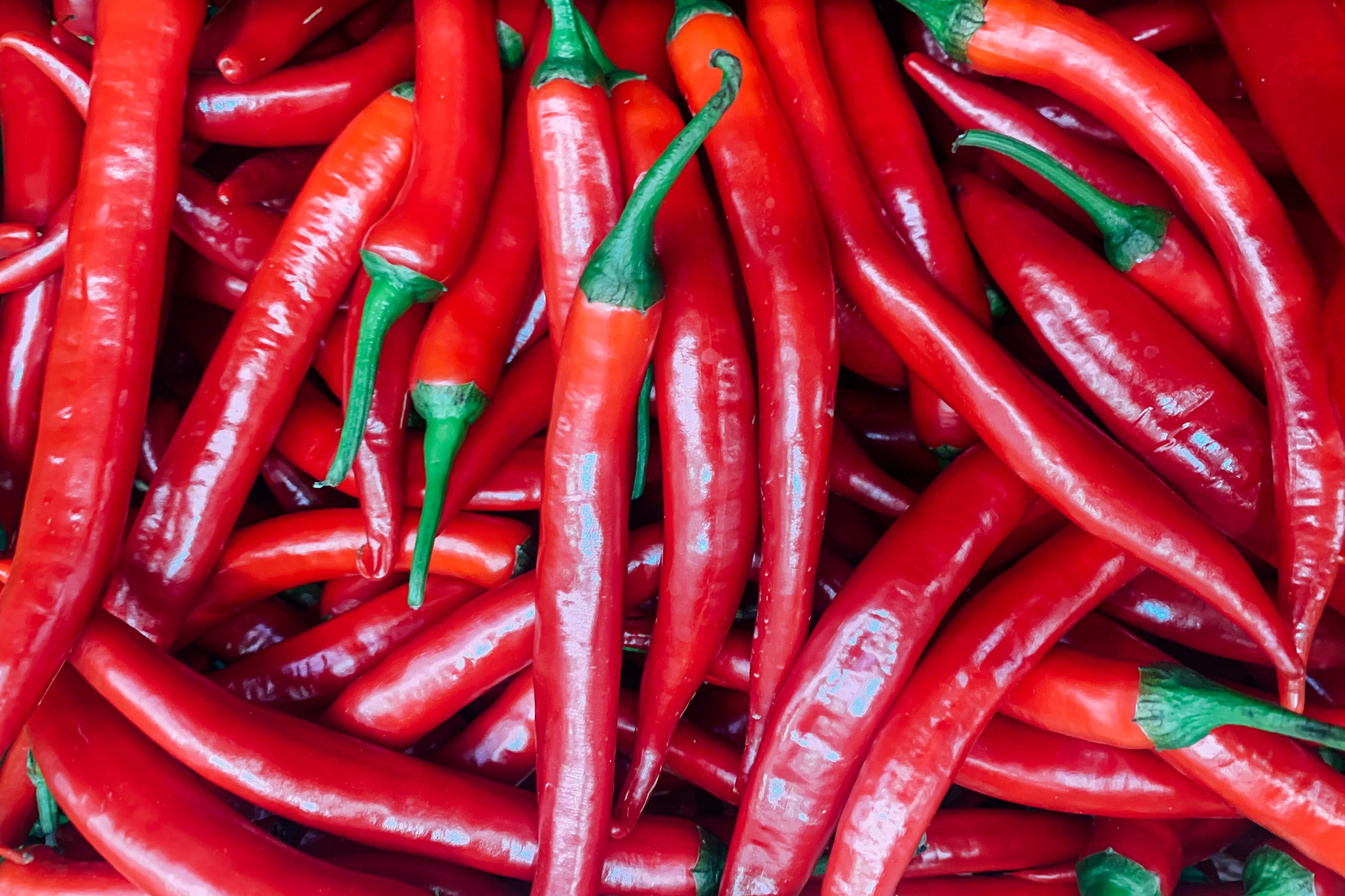 300 THIN CAYENNE PEPPER Hot Chili Long Green Red Slim Capsicum Vegetable Seeds - Image 5