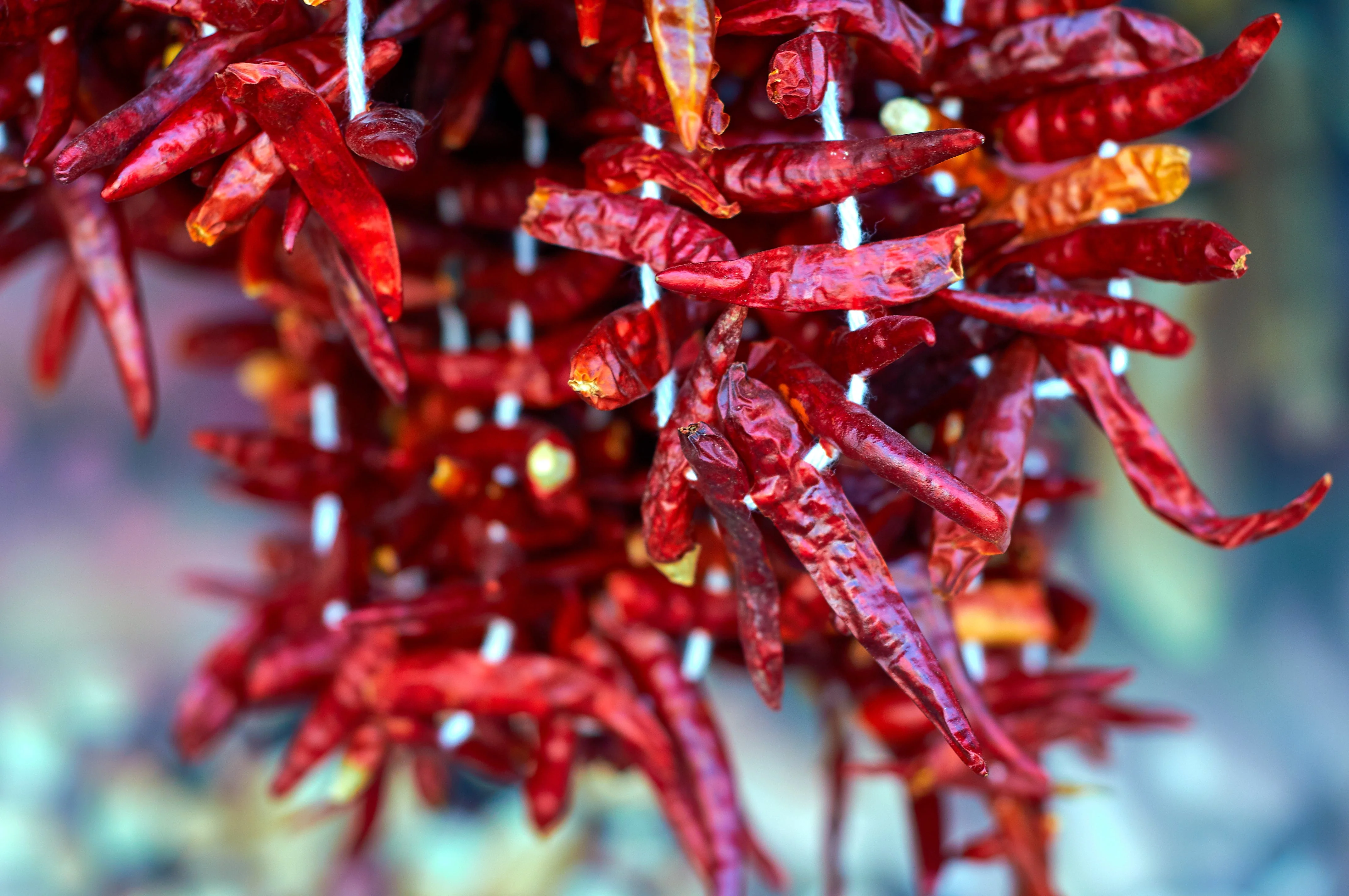 300 THIN CAYENNE PEPPER Hot Chili Long Green Red Slim Capsicum Vegetable Seeds - Image 8