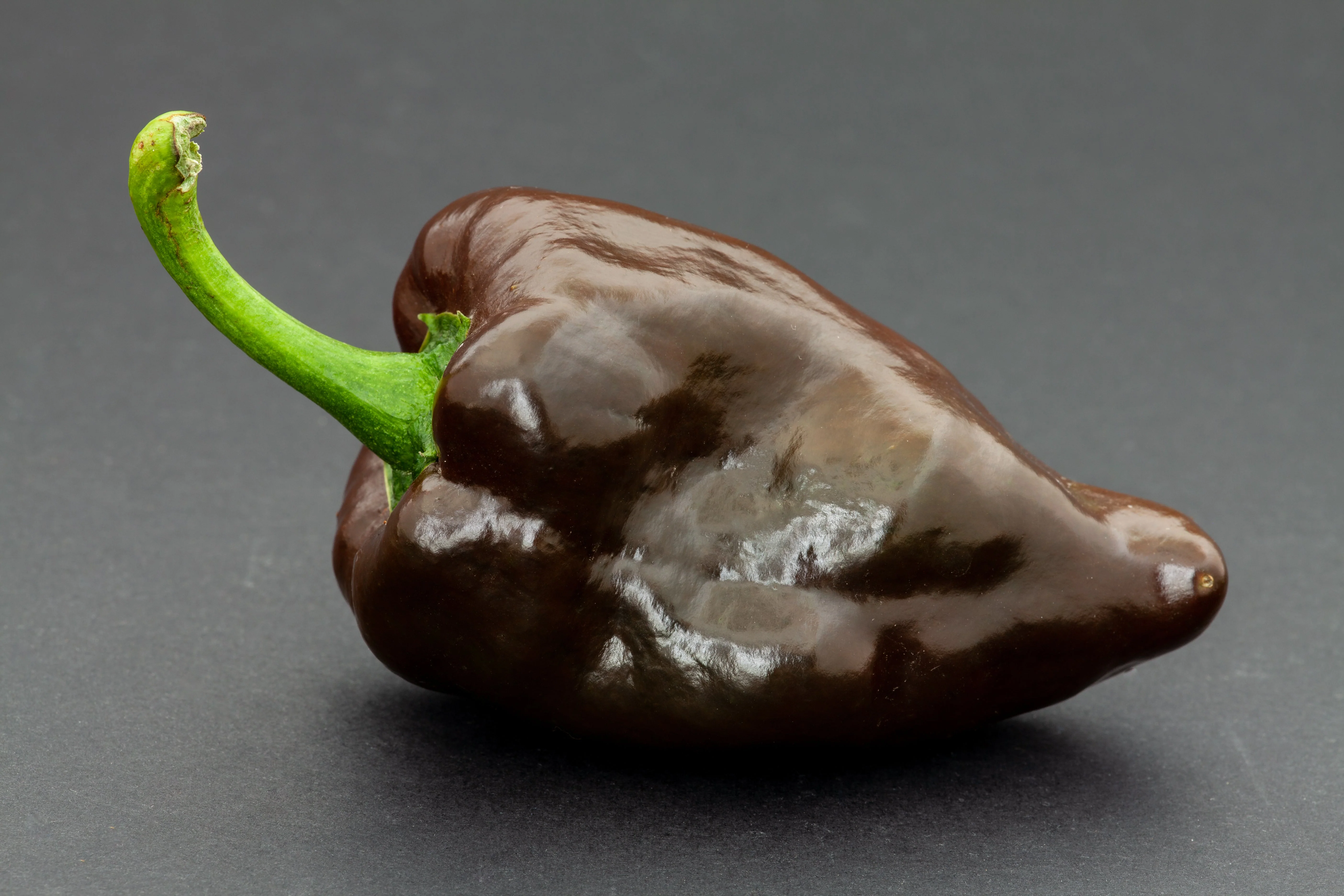 40 MULATO ISLENO PEPPER Brown Mildly Hot Ancho Poblano Capsicum Vegetable Seeds - Image 3
