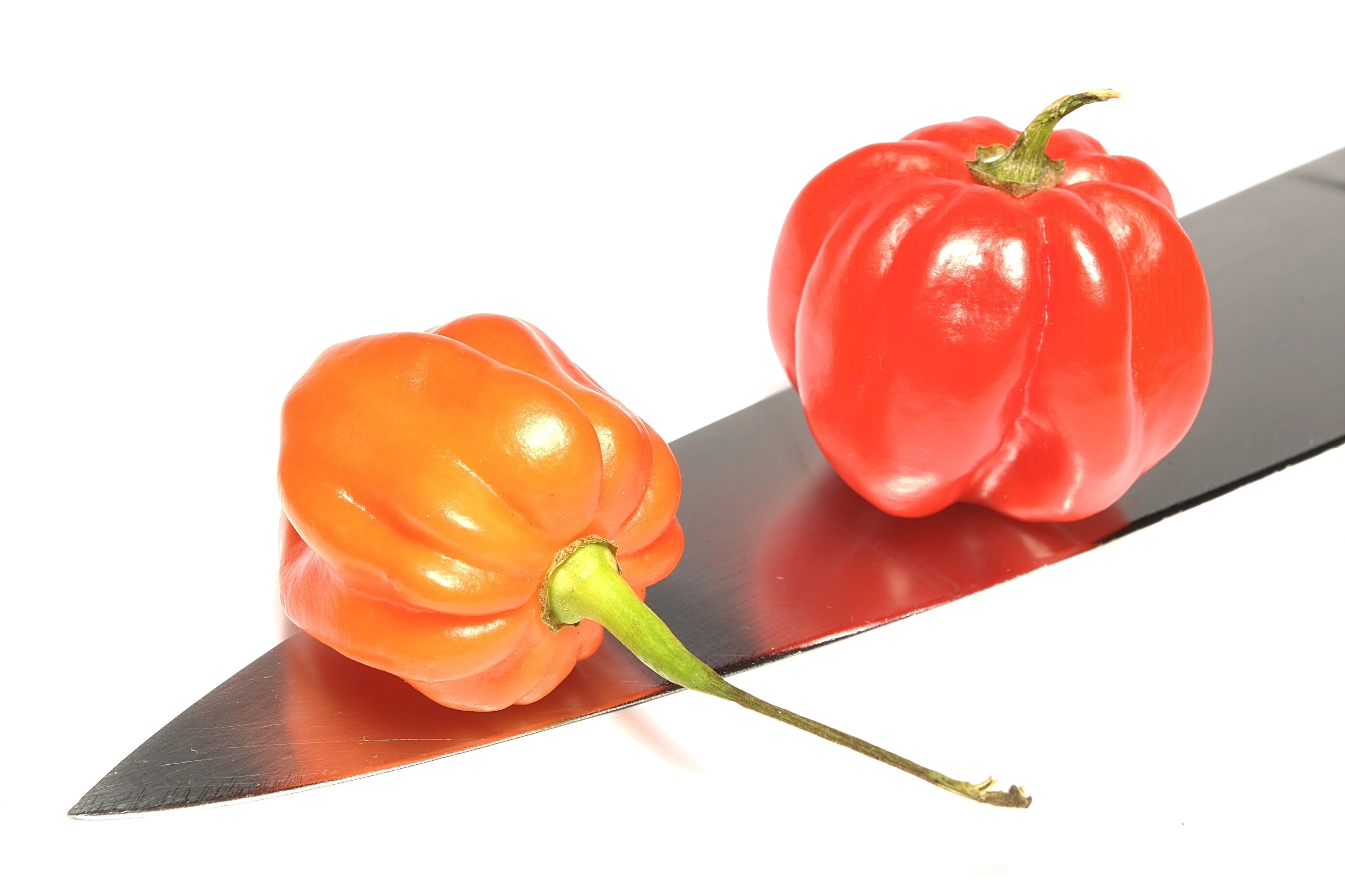 40 Orange SCOTCH BONNET PEPPER very hot Jamaican Capsicum Annuum Vegetable Seeds - Image 4