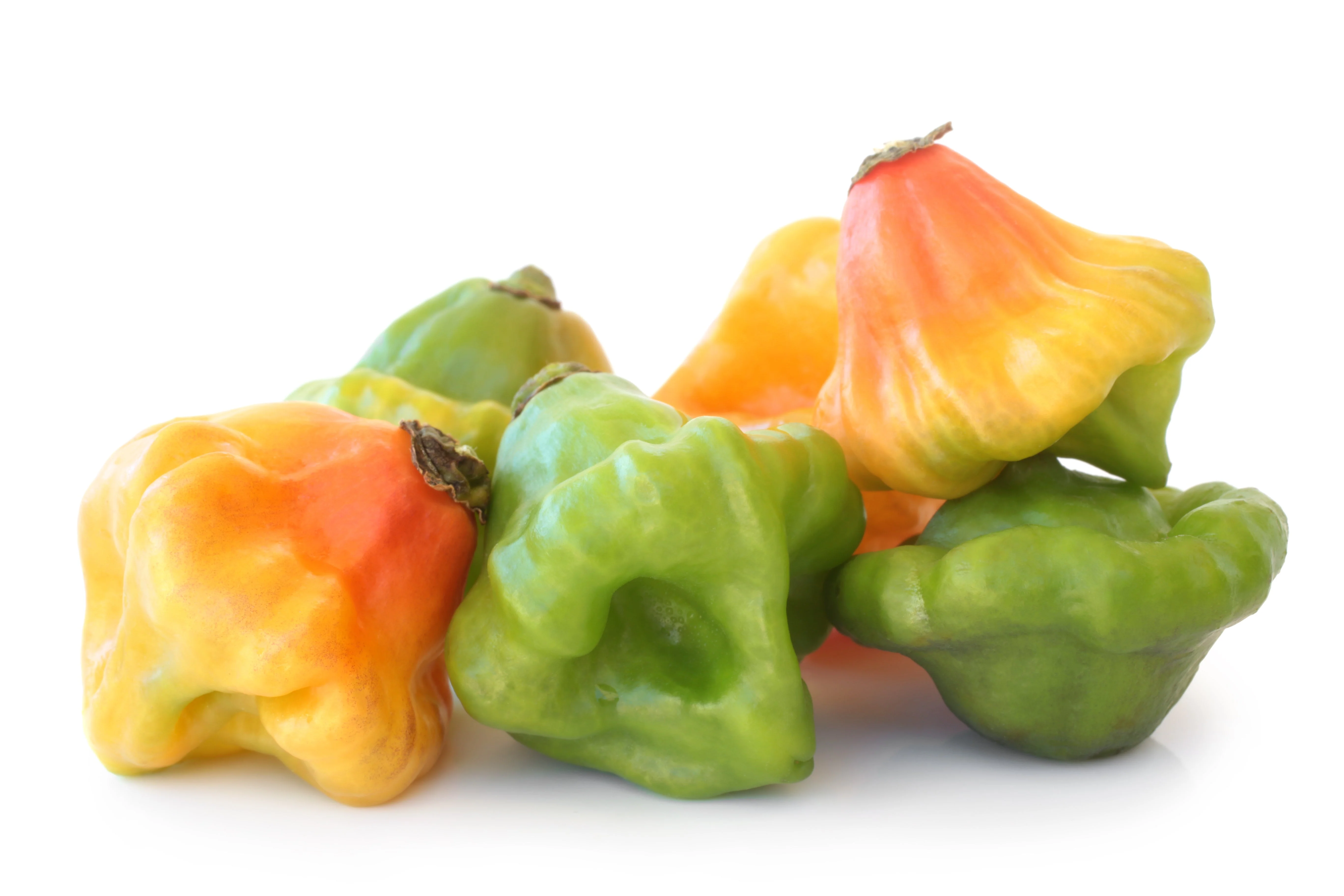 40 Orange SCOTCH BONNET PEPPER very hot Jamaican Capsicum Annuum Vegetable Seeds - Image 5