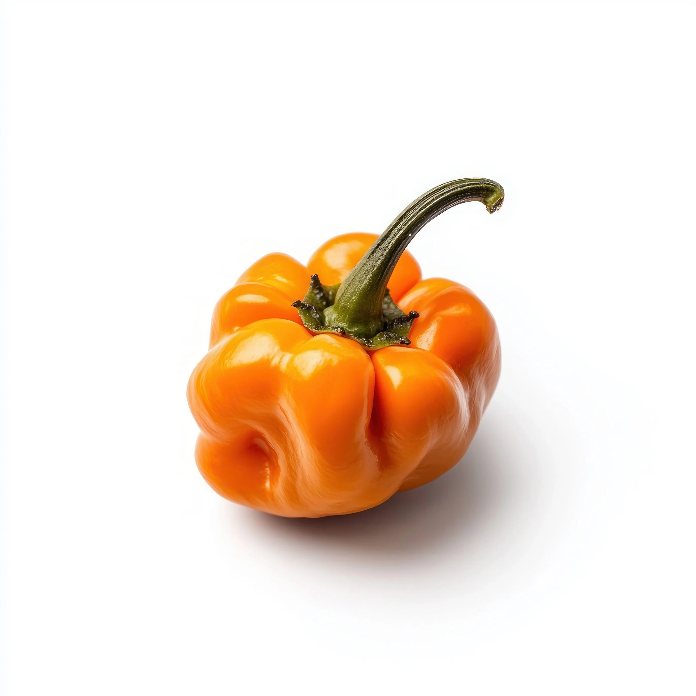 40 Orange SCOTCH BONNET PEPPER very hot Jamaican Capsicum Annuum Vegetable Seeds - Image 7