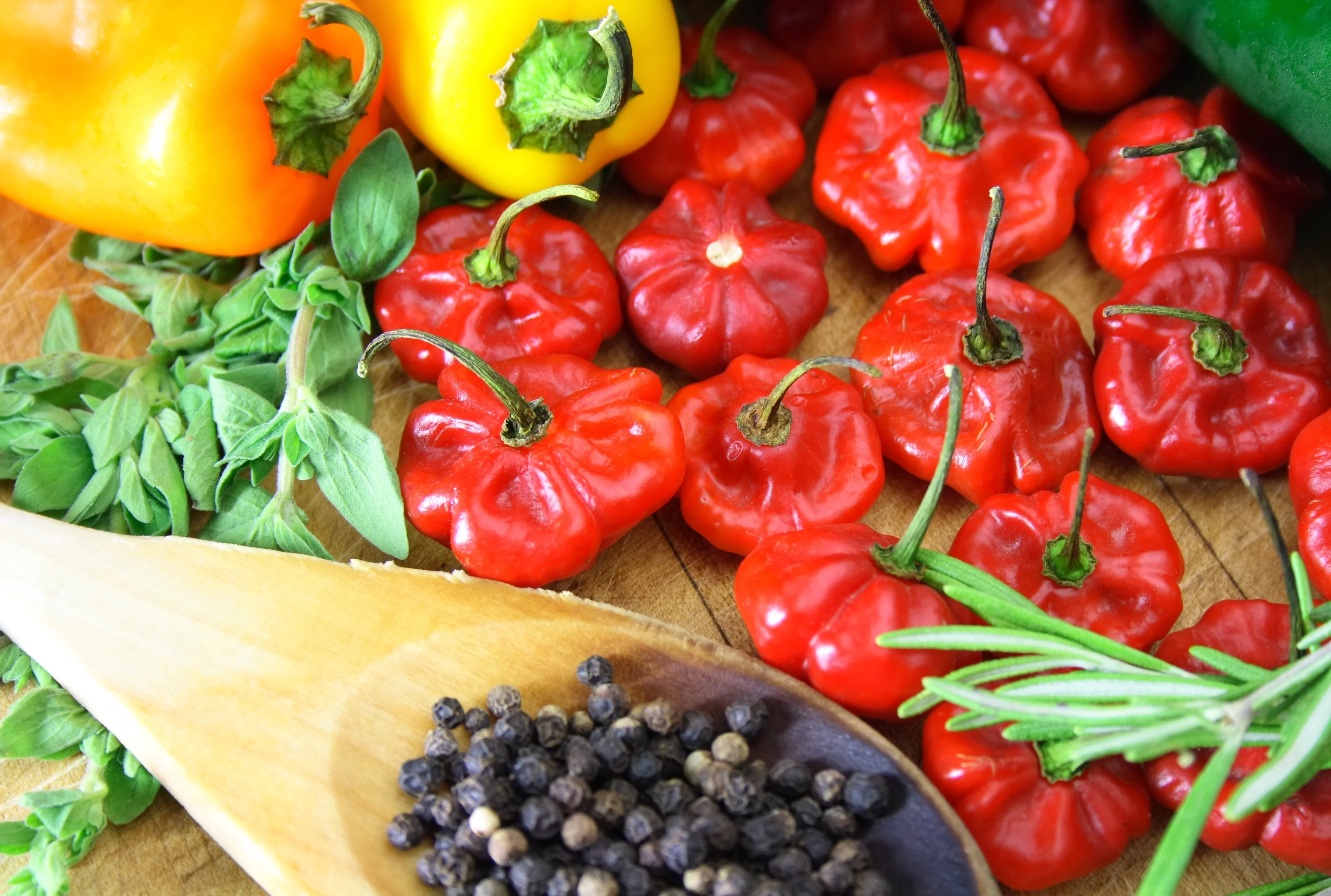 40 Red JAMAICAN HOT PEPPER Capsicum Annuum Scotch Bonnet Vegetable Seeds - Image 4