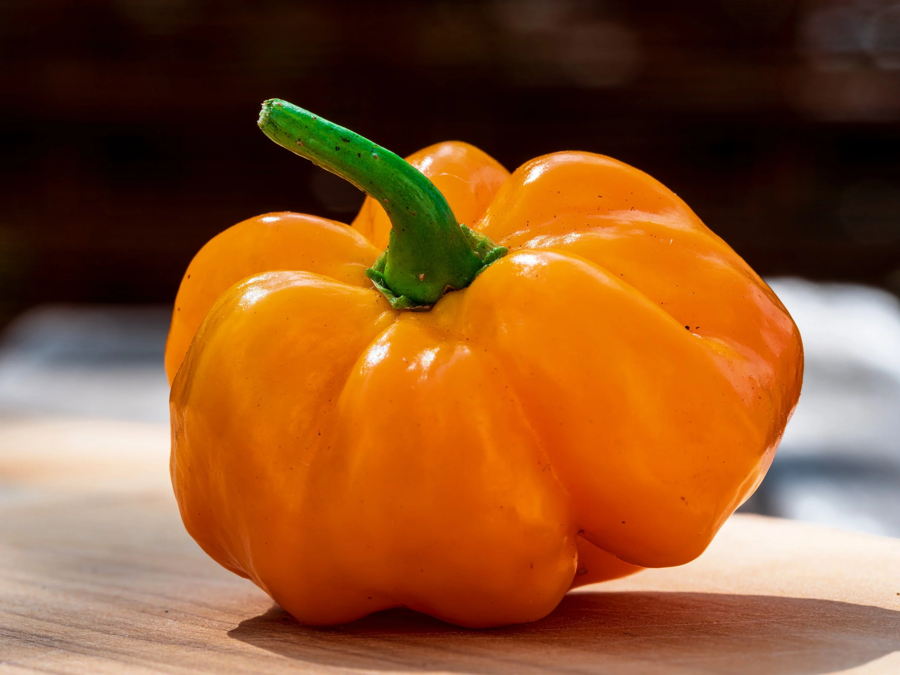 40 Yellow JAMAICAN HOT PEPPER Capsicum Annuum Scotch Bonnet Vegetable Seeds - Image 4