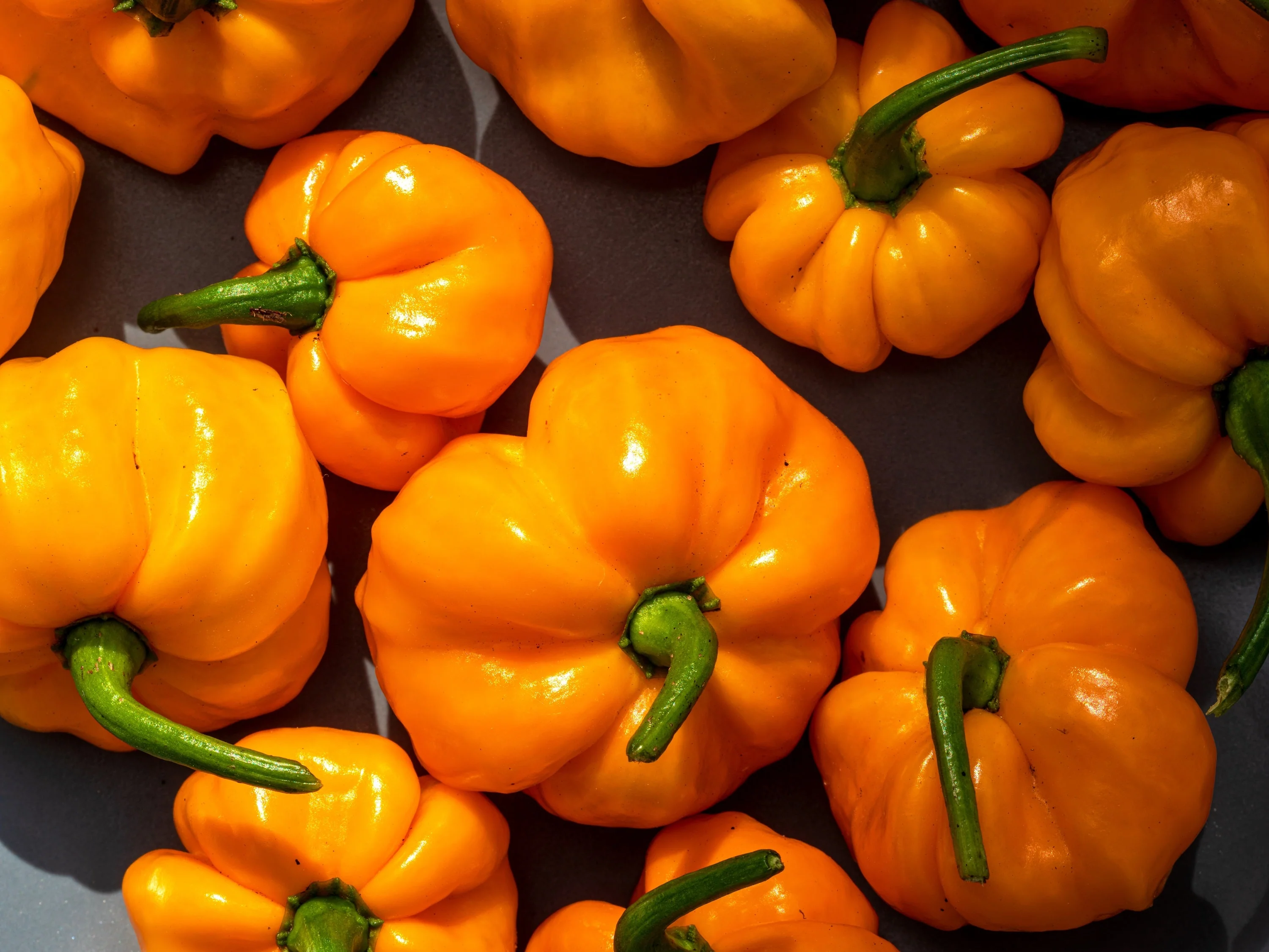 40 Yellow JAMAICAN HOT PEPPER Capsicum Annuum Scotch Bonnet Vegetable Seeds - Image 7