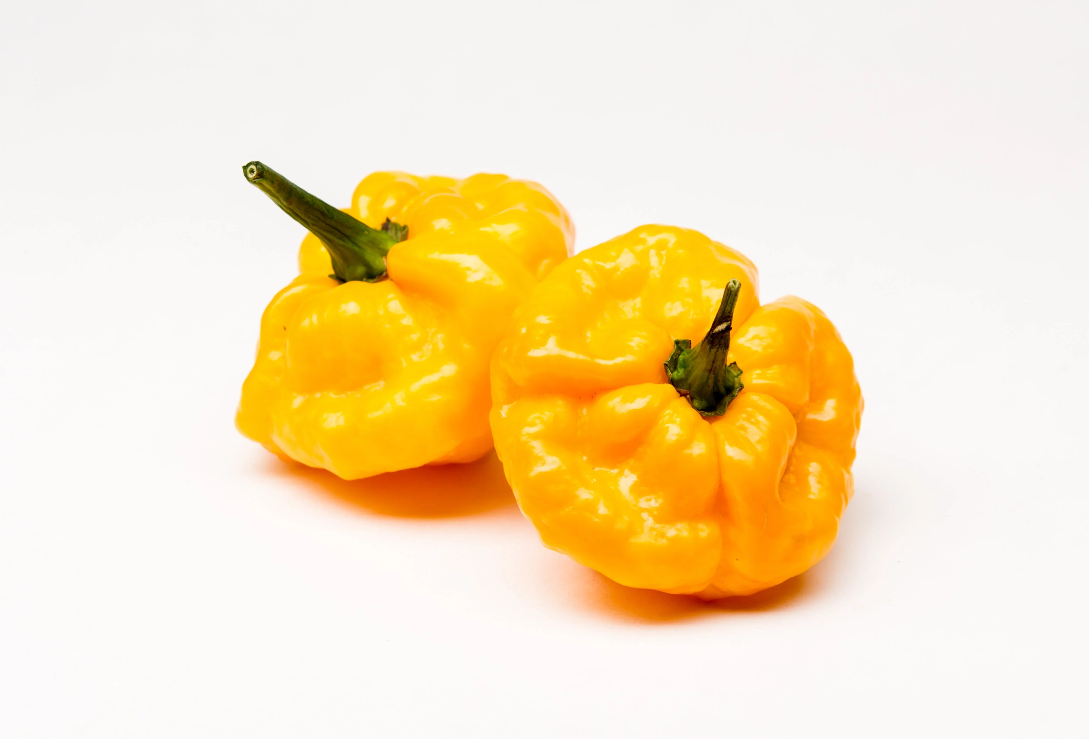 40 Yellow SCOTCH BONNET PEPPER very hot Jamaican Capsicum Annuum Vegetable Seeds - Image 4
