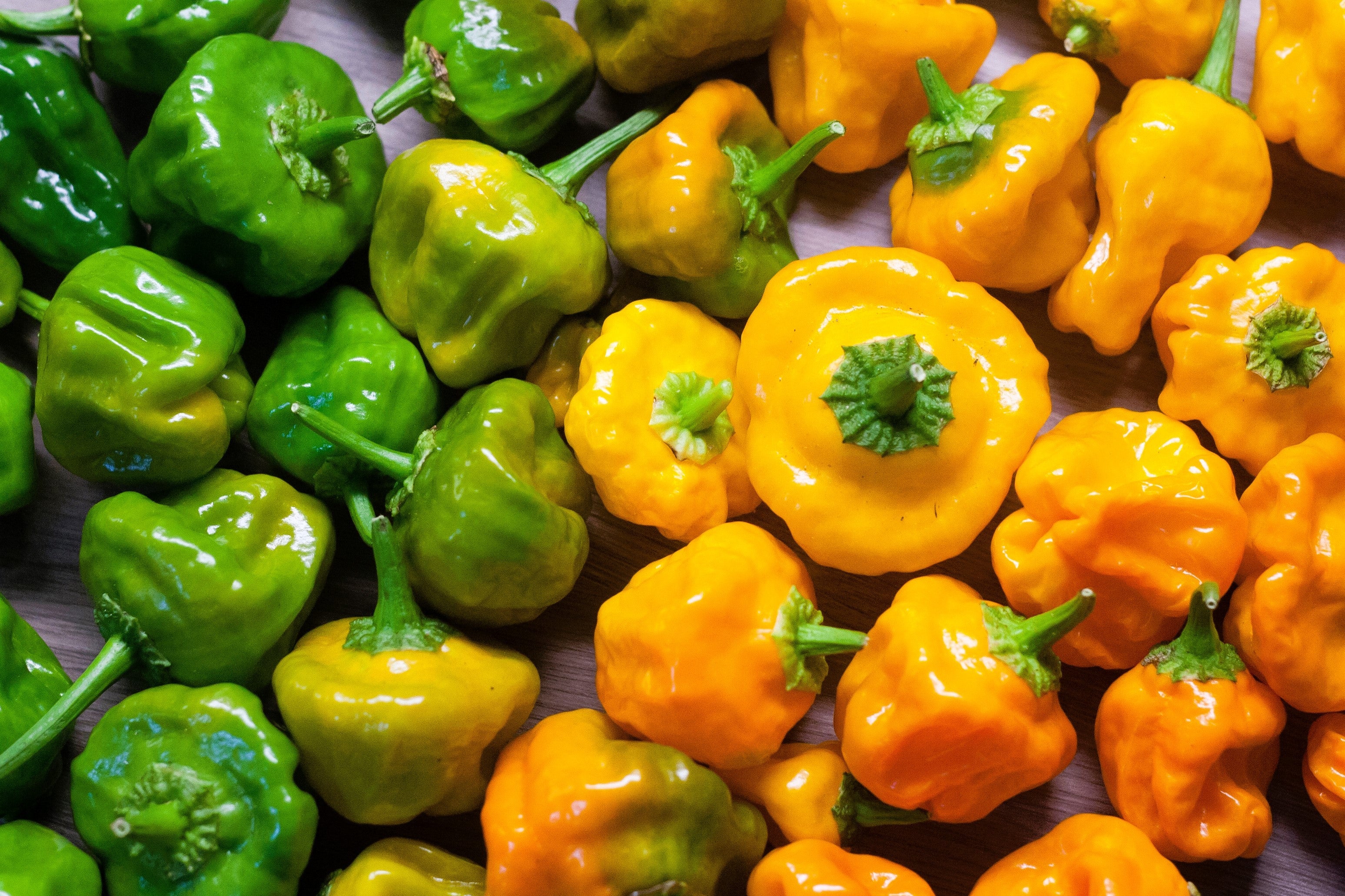 40 Yellow SCOTCH BONNET PEPPER very hot Jamaican Capsicum Annuum Vegetable Seeds - Image 8