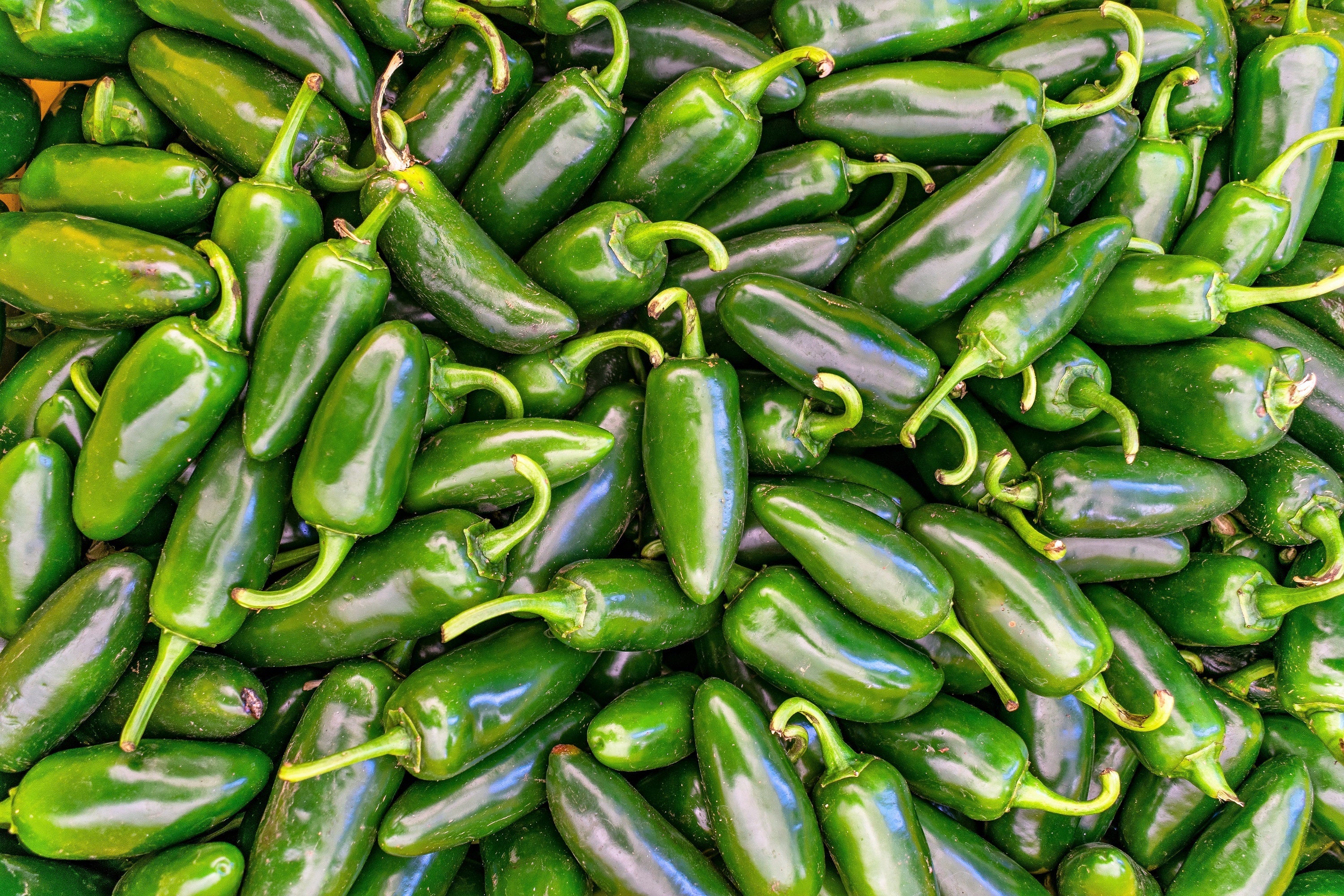 400 HOT JALAPENO PEPPER Capsicum Annuum Mexican Chili Vegetable Seeds - Image 7