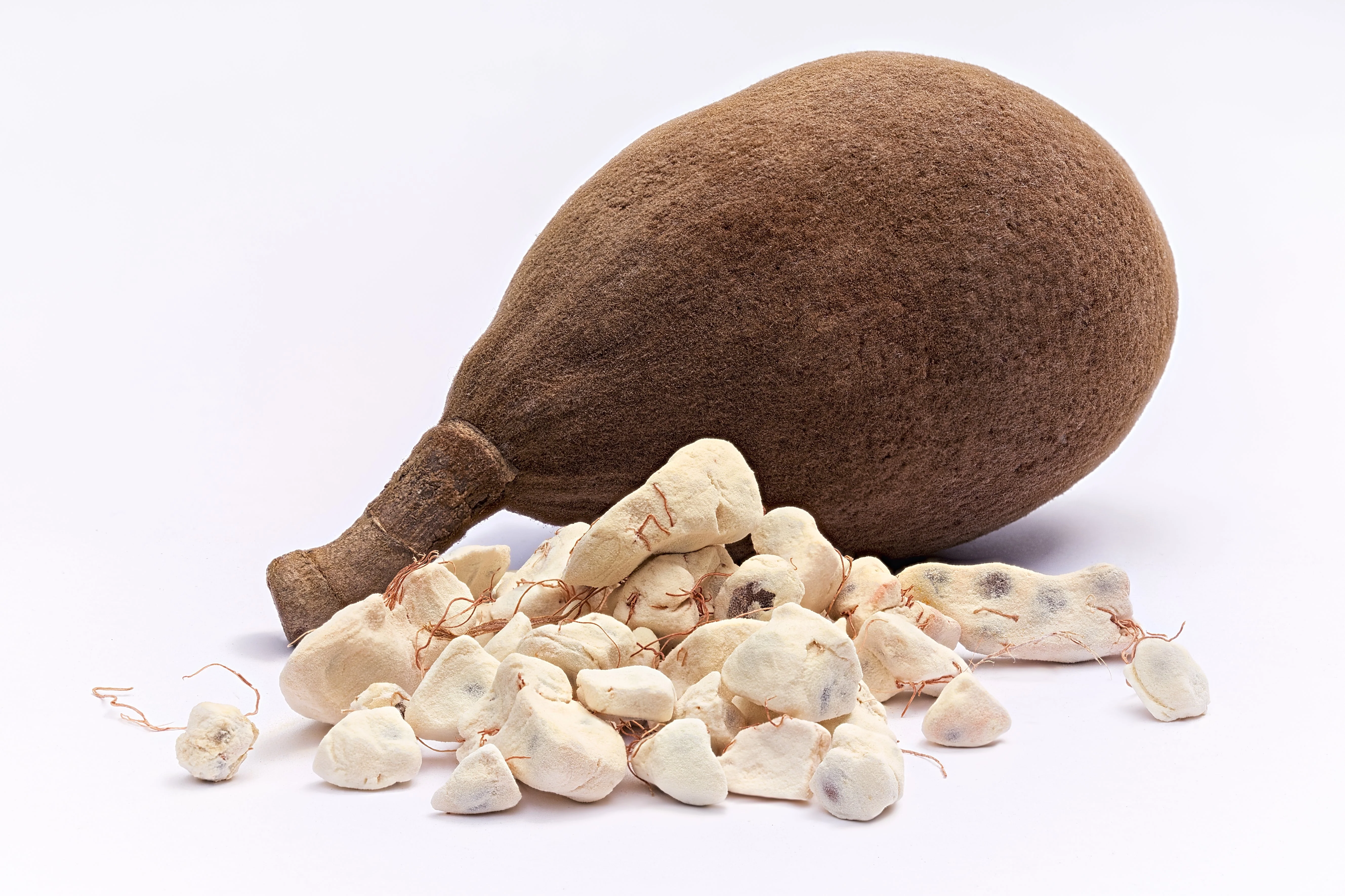 5 African BAOBAB TREE Adansonia Digitata Monkey Bread Judas Fruit Seeds - Image 6