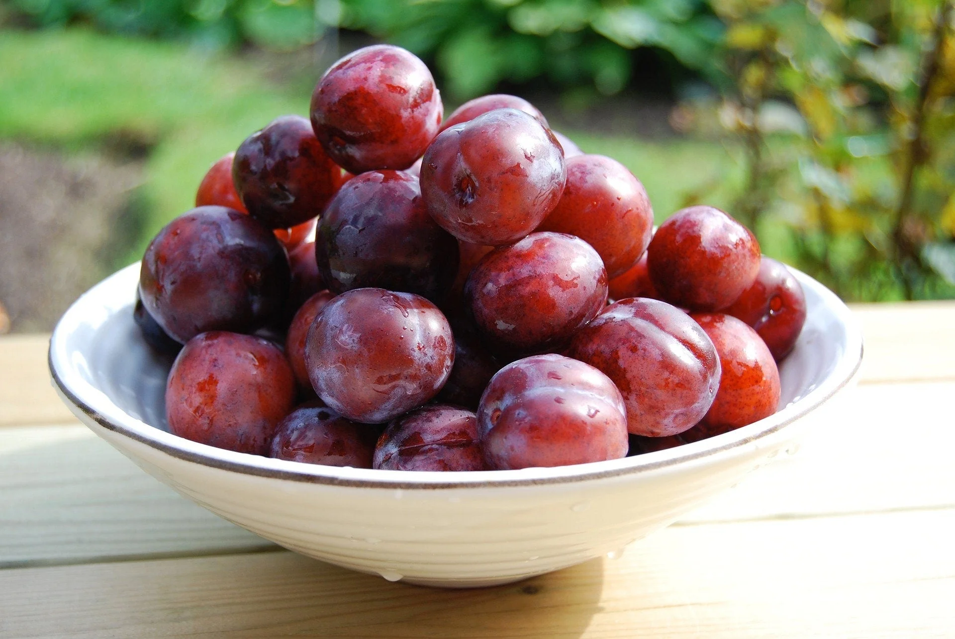 5 AMERICAN PLUM Prunus Americana Red Purple Fruit White Flower Shrub Tree Seeds - Image 6