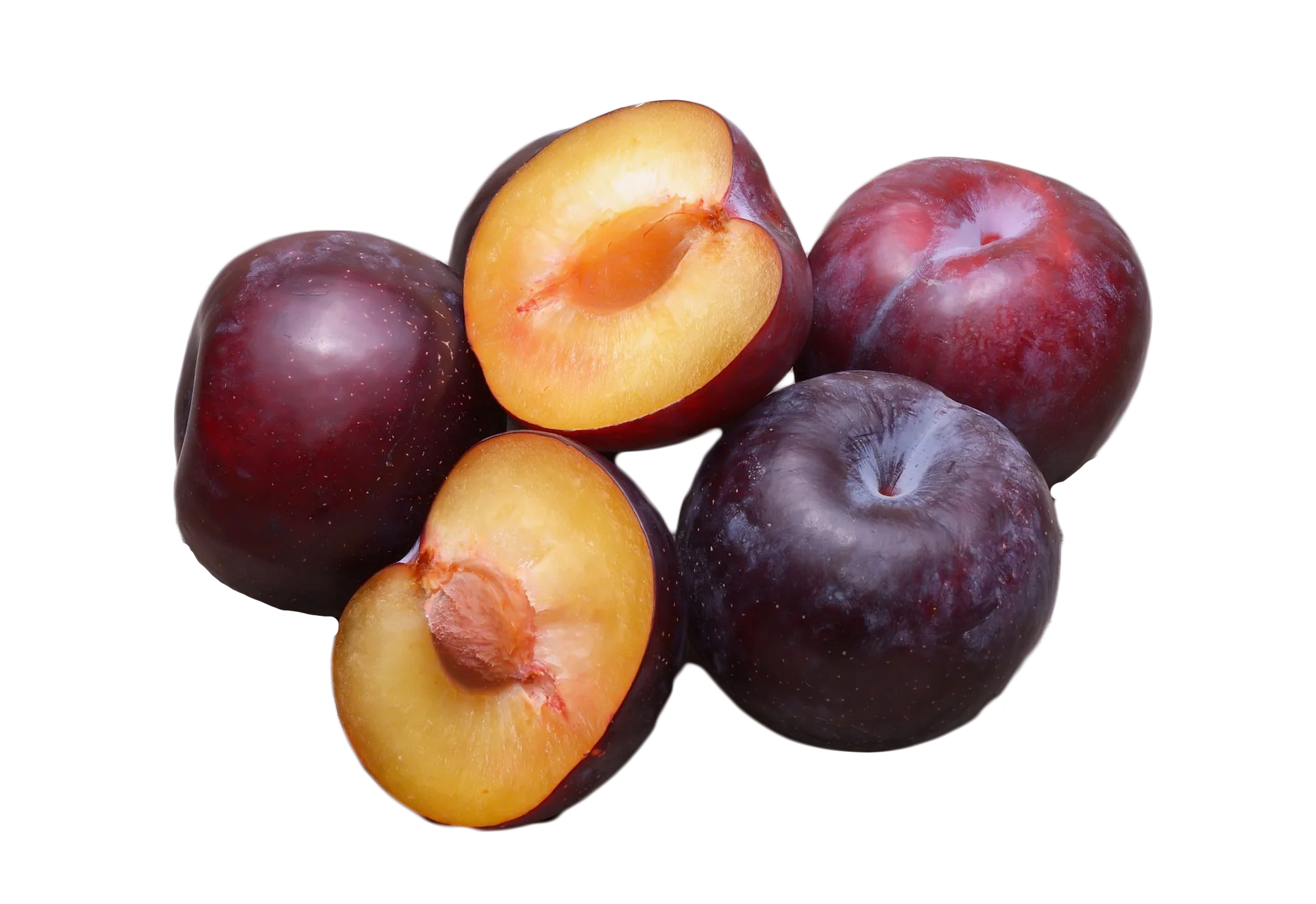 5 AMERICAN PLUM Prunus Americana Red Purple Fruit White Flower Shrub Tree Seeds - Image 7