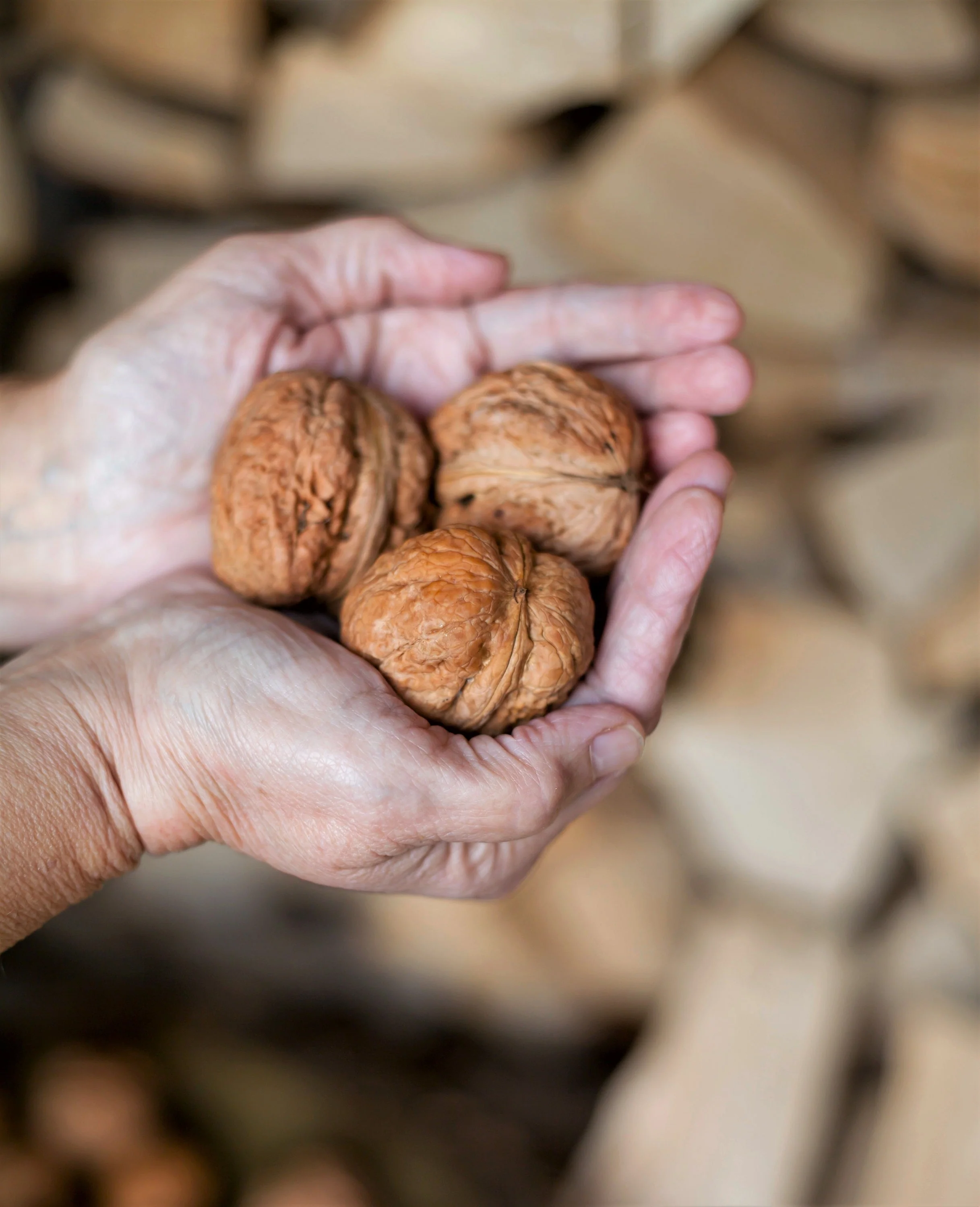 5 ENGLISH WALNUT aka Common, Hardy Carpathian, Persian Nut Fruit Tree Juglans Regia Orientis Seeds - Image 14