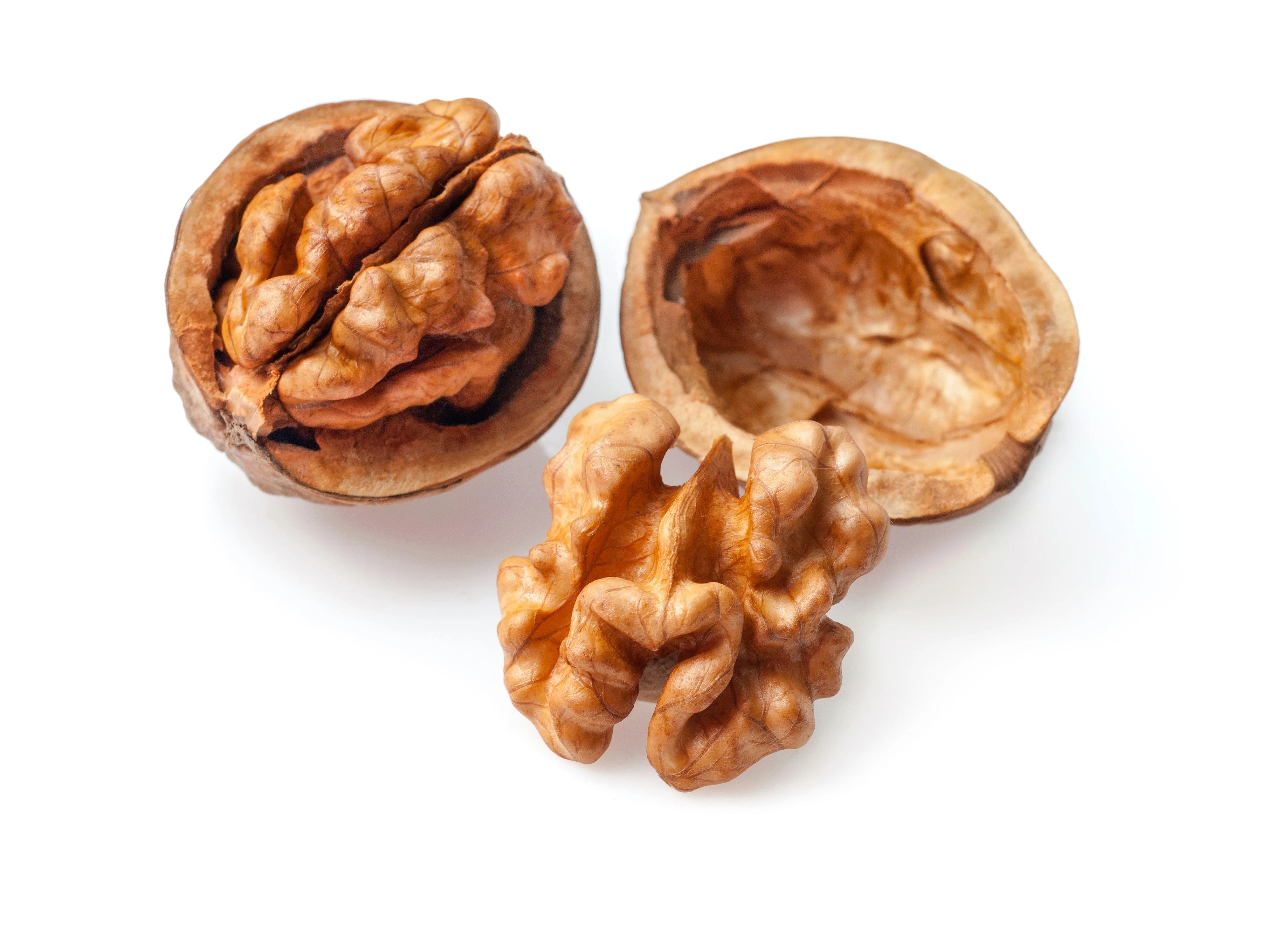 5 ENGLISH WALNUT aka Common, Hardy Carpathian, Persian Nut Fruit Tree Juglans Regia Orientis Seeds - Image 6