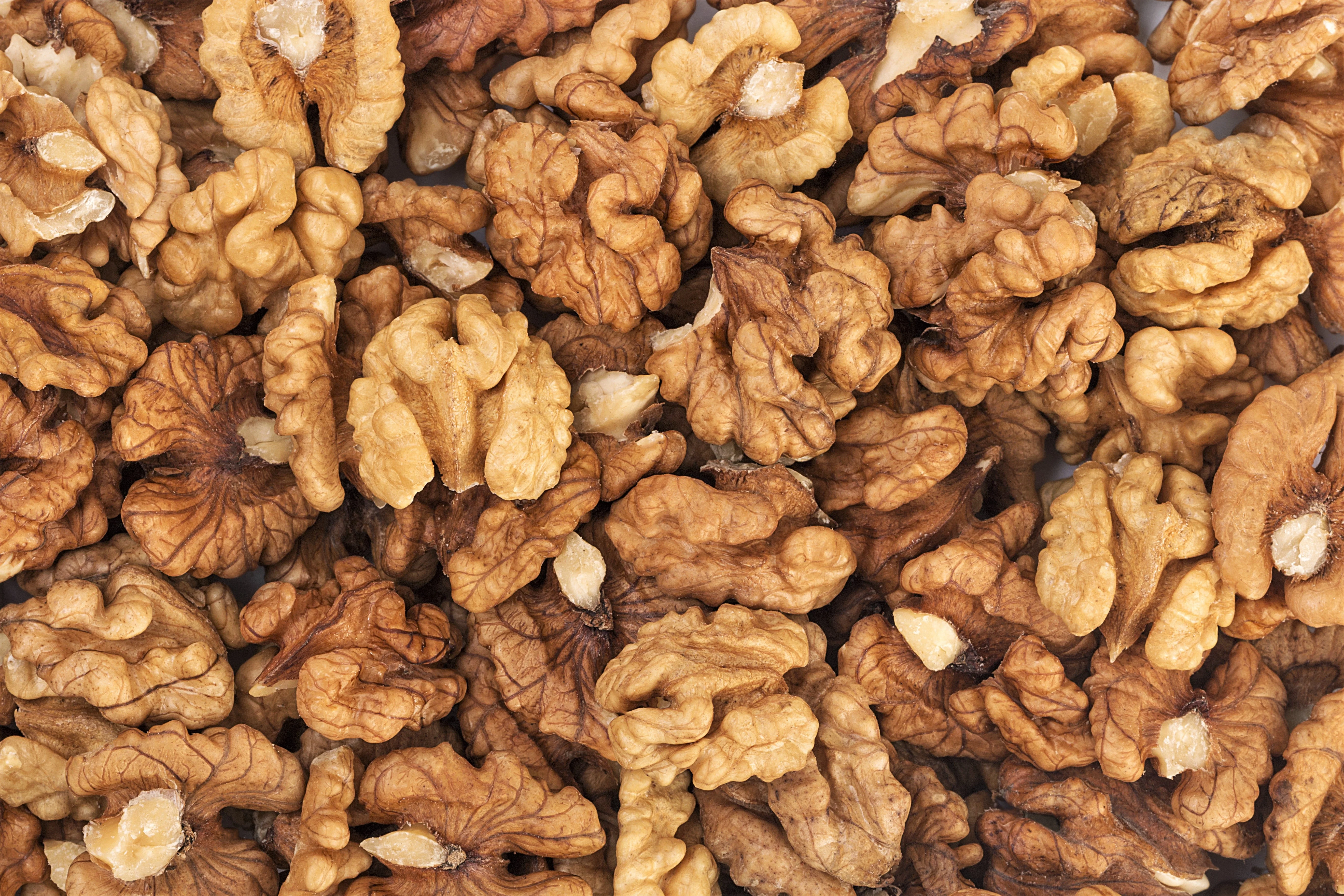 5 ENGLISH WALNUT aka Common, Hardy Carpathian, Persian Nut Fruit Tree Juglans Regia Orientis Seeds - Image 7