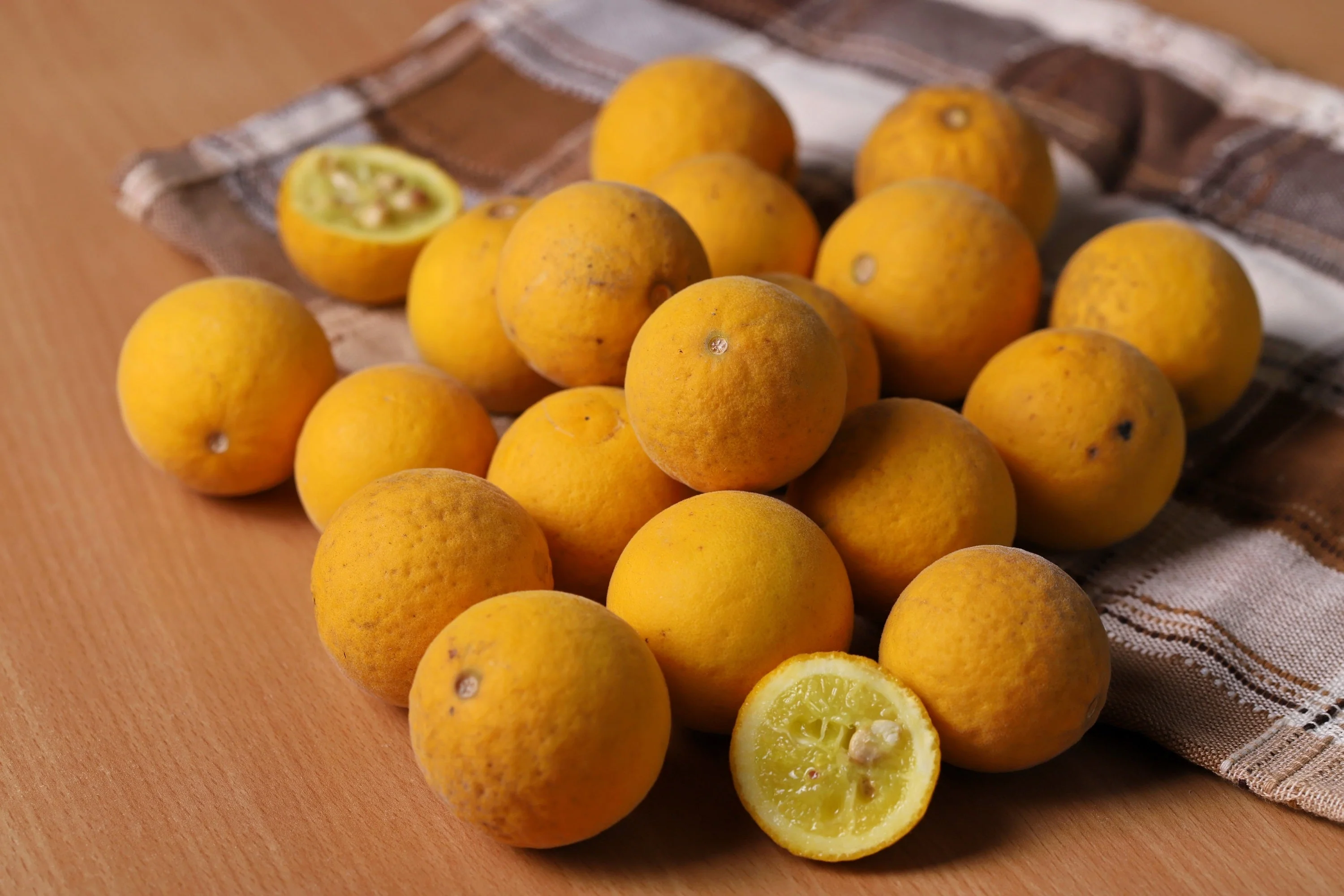 5 HARDY ORANGE TREE Trifoliate Citrus Trifoliata Poncirus Fruit White Flower Seeds - Image 7