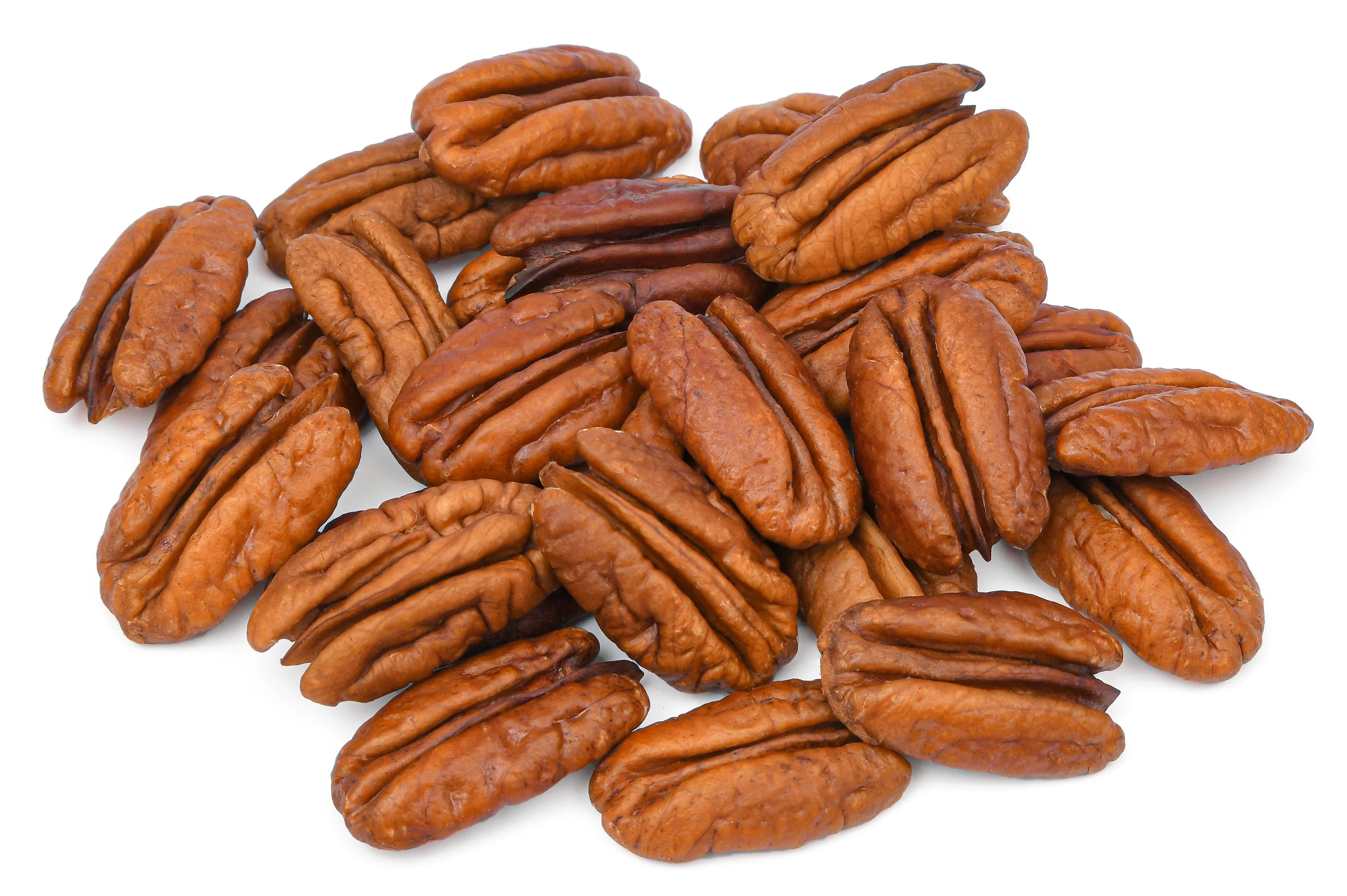 5 HARDY PECAN Tree Carya Illinoinensis King Nut Native Fruit Tree Seeds - Image 13