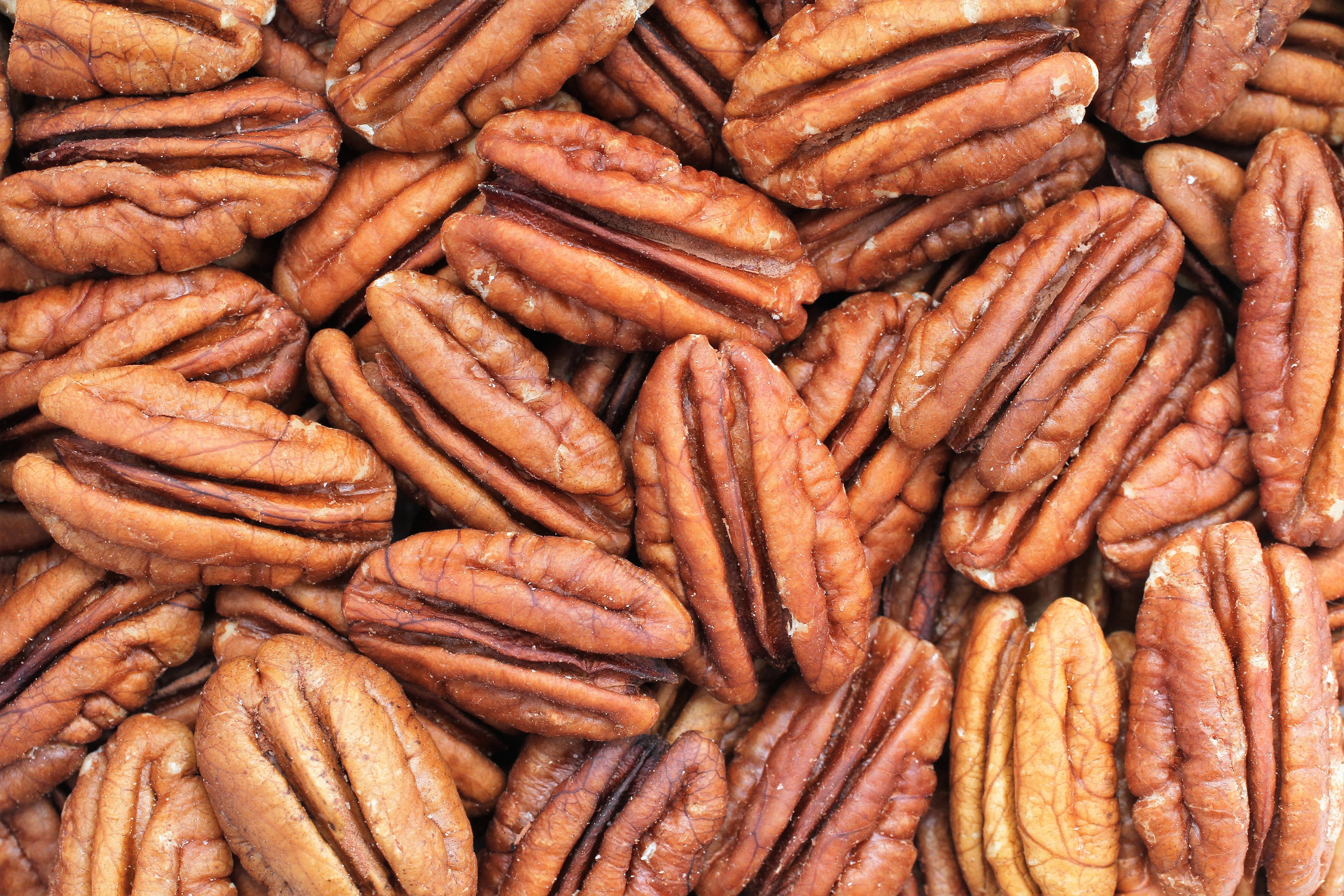 5 HARDY PECAN Tree Carya Illinoinensis King Nut Native Fruit Tree Seeds - Image 5