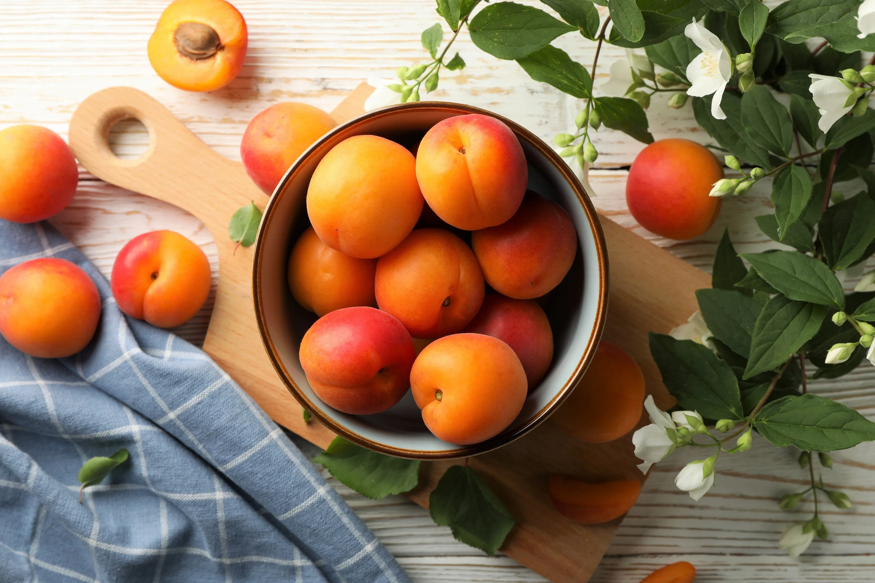 5 MANCHURIAN APRICOT Fruit Tree Flowering Prunus Mandshurica Seeds - Image 7