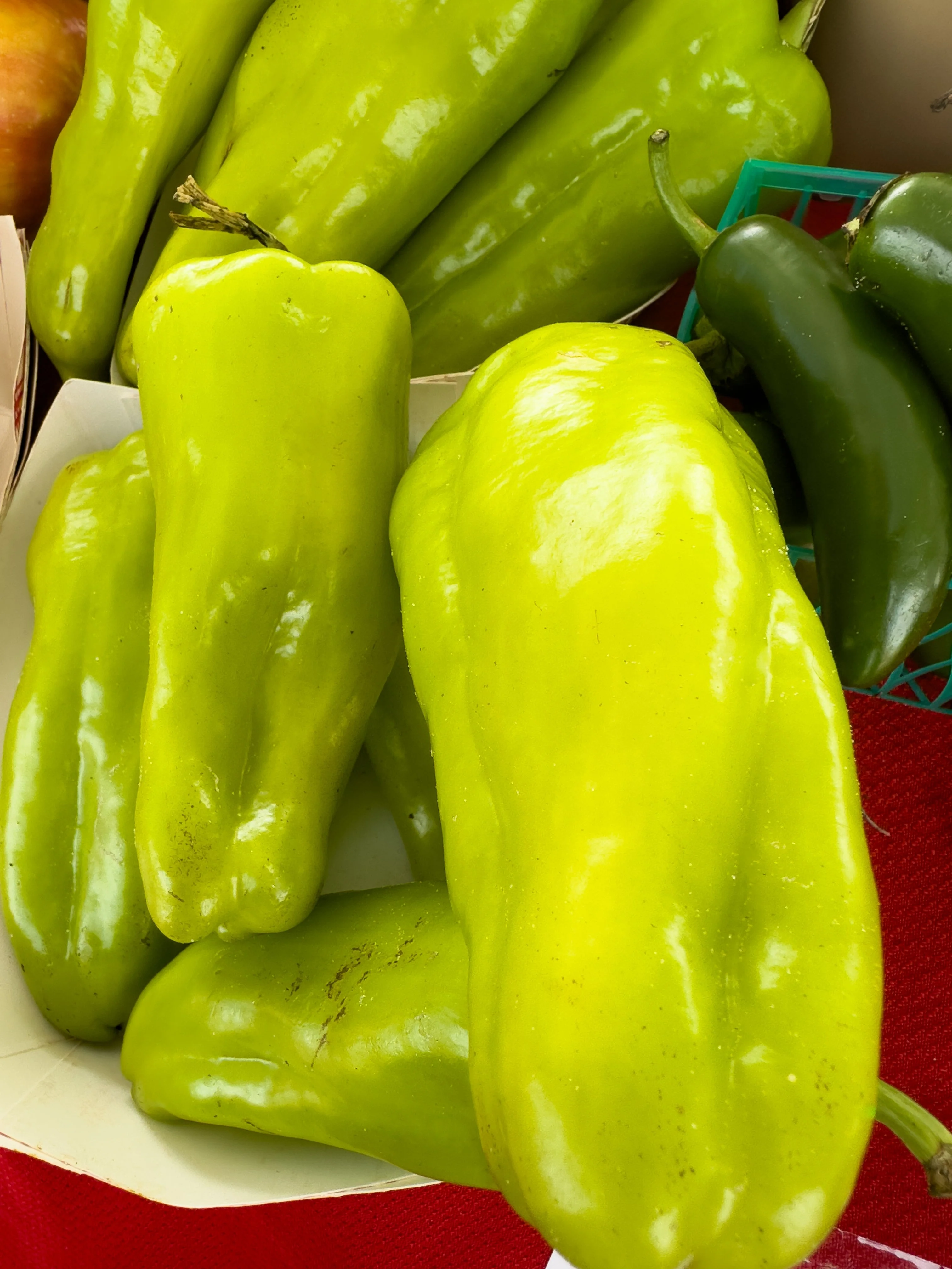 50 GREEK GOLDEN PEPPER Pepperoncini Gold Yellow Capsicum Annuum Vegetable Seeds - Image 2
