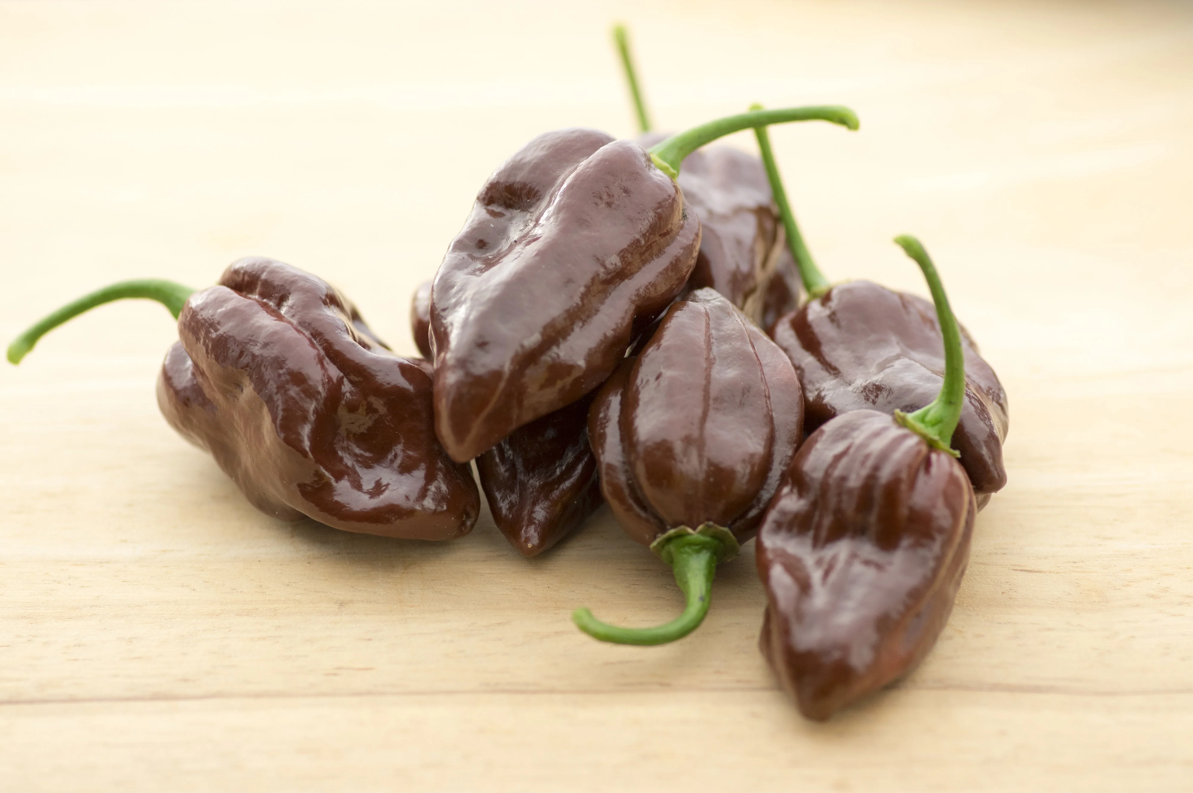 50 Hot BROWN HABANERO PEPPER Capsicum Chinense Seeds - Image 5