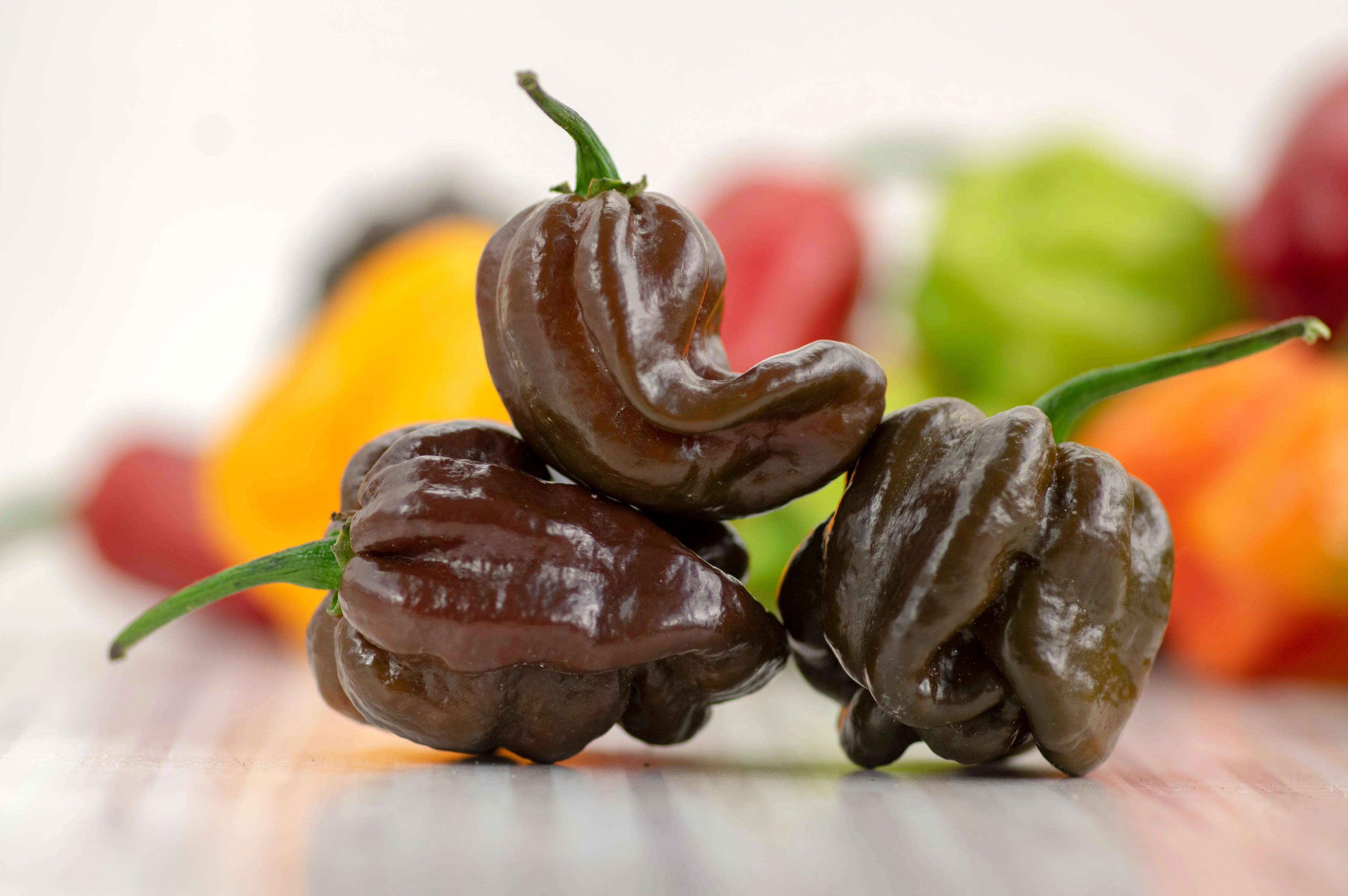 50 Hot BROWN HABANERO PEPPER Capsicum Chinense Seeds - Image 6
