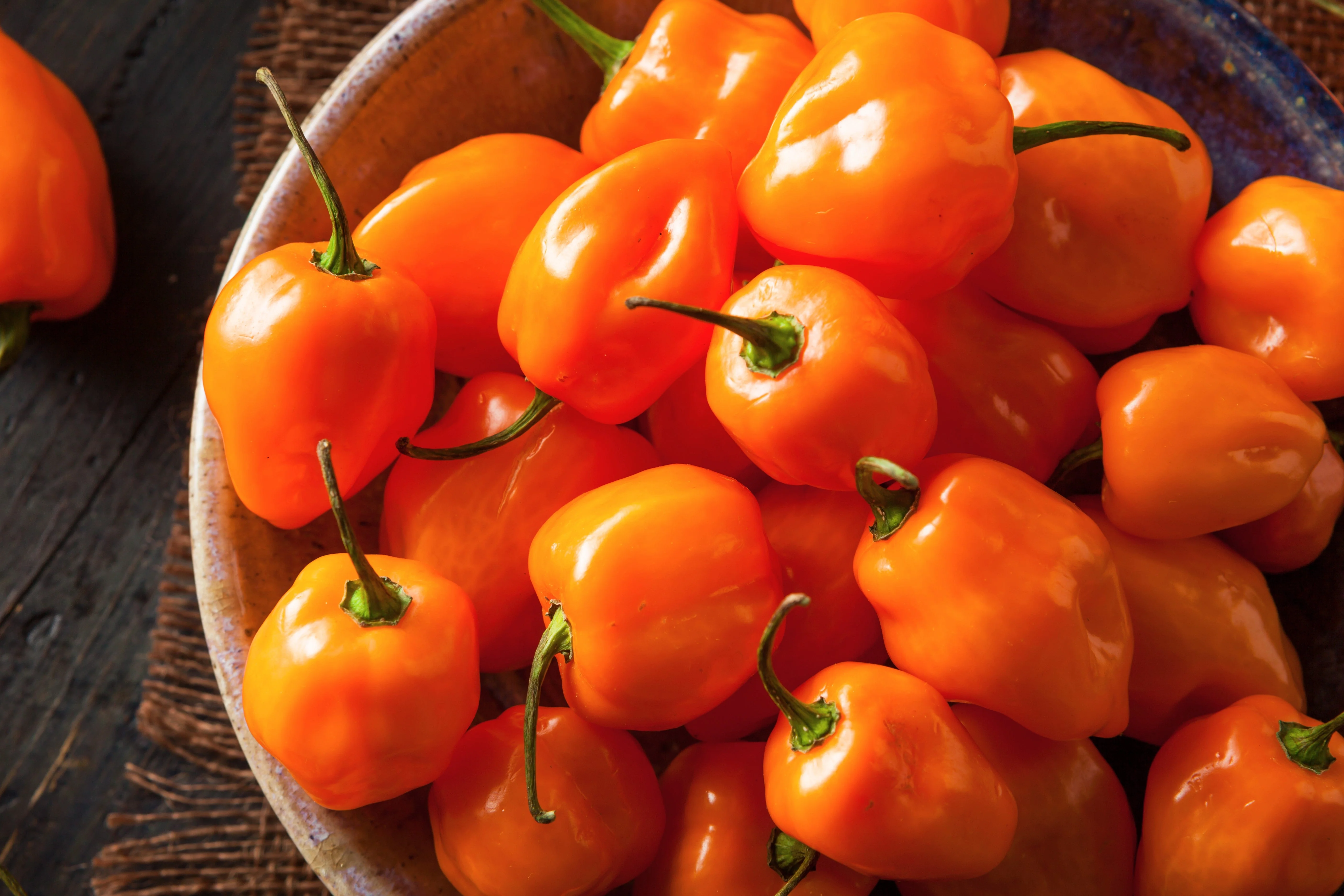 50 Hot ORANGE HABANERO PEPPER Capsicum Chinense Vegetable Seeds - Image 8