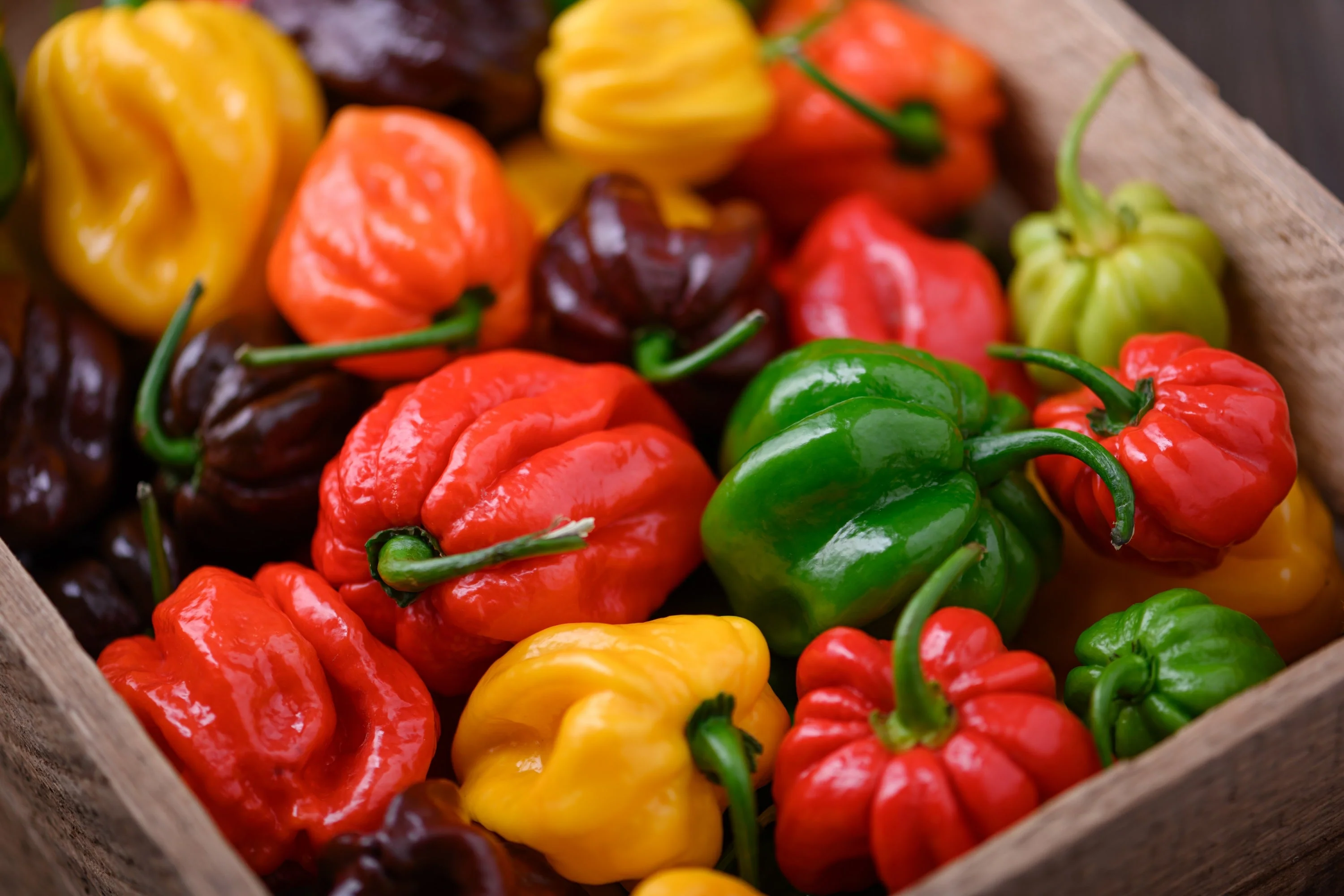 50 Mixed HOT HABANERO PEPPER Red Orange White Brown Mix Capsicum Chinense Seeds - Image 2