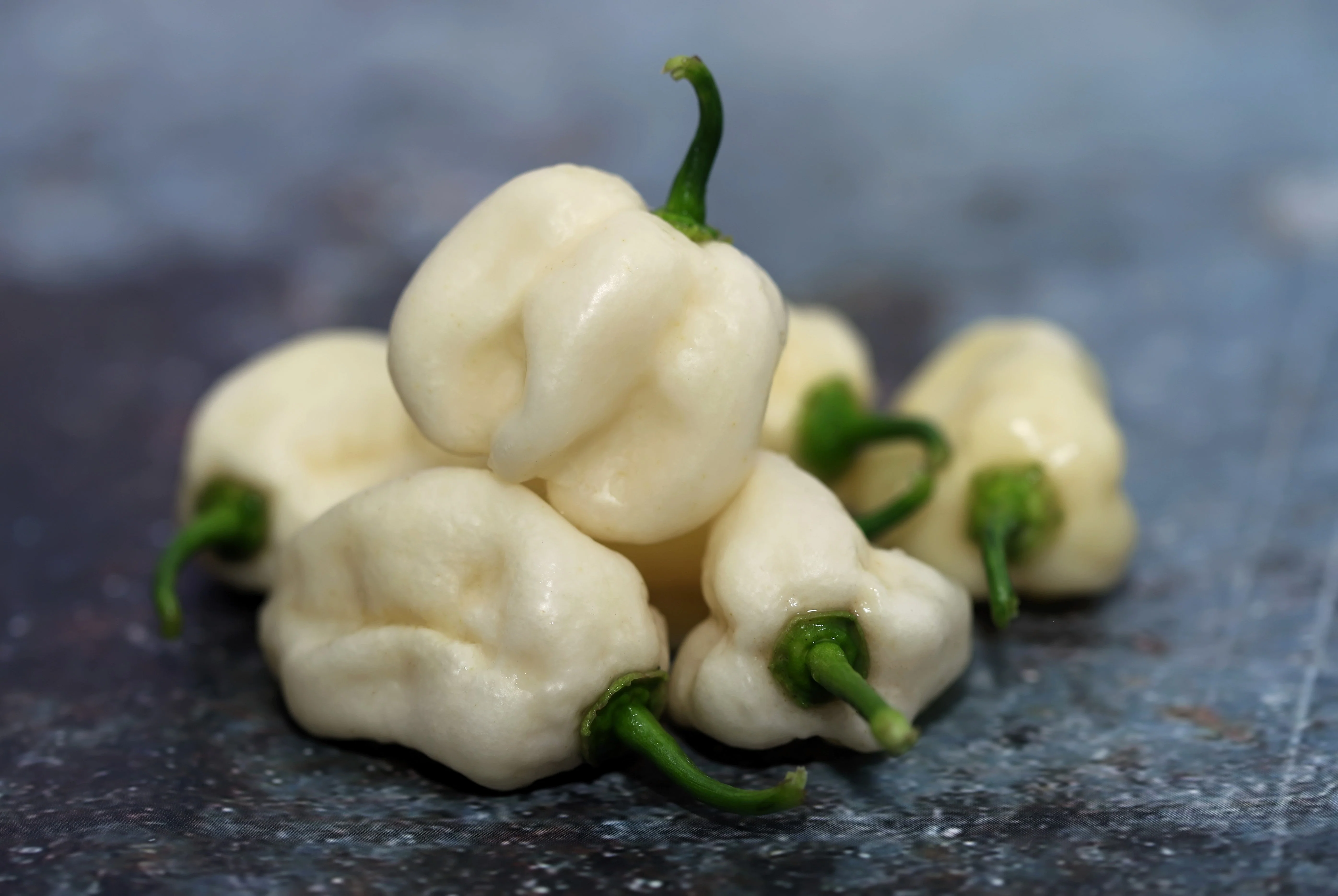 50 Mixed HOT HABANERO PEPPER Red Orange White Brown Mix Capsicum Chinense Seeds - Image 7