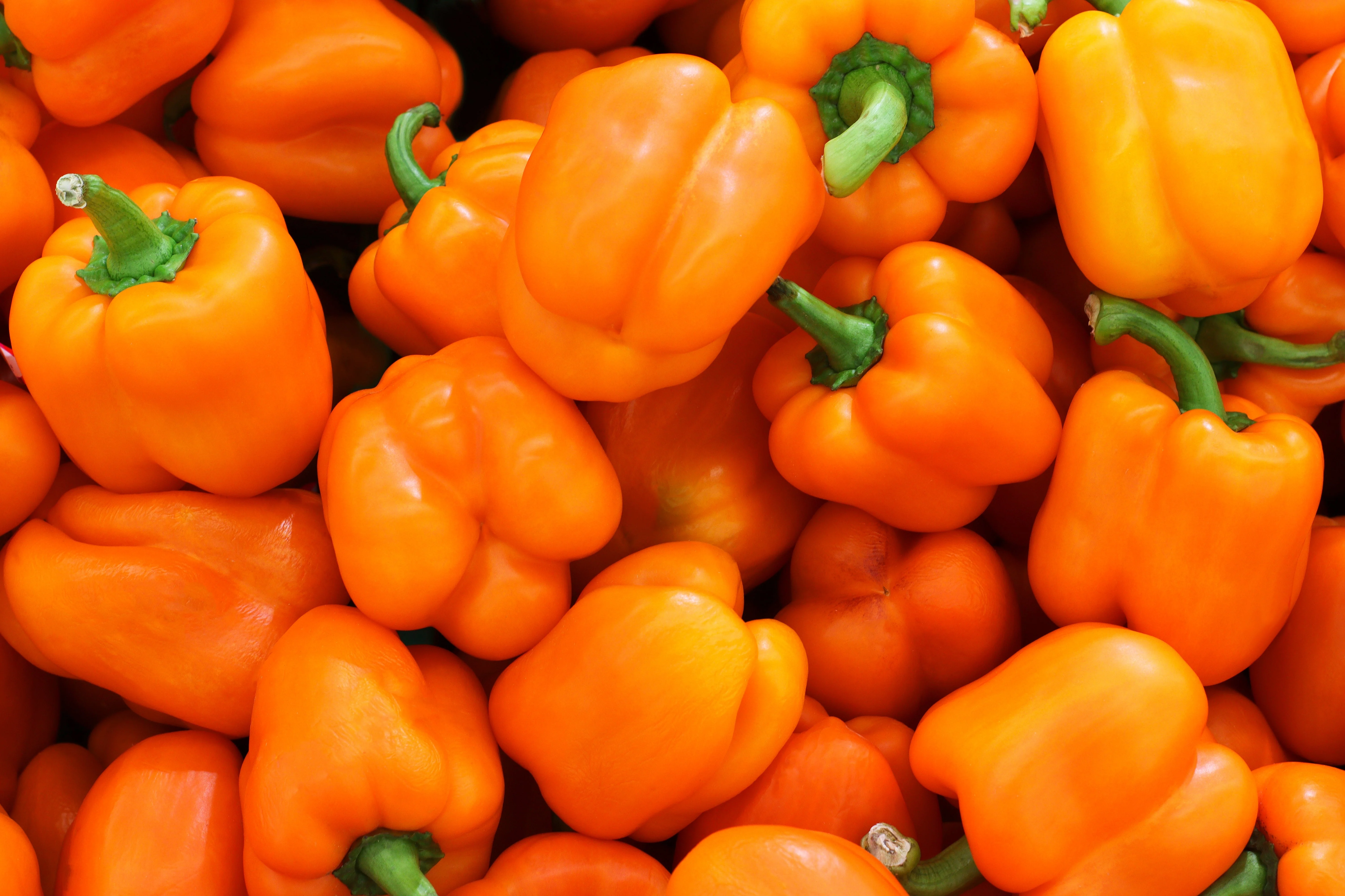 50 ORANGE Sun BELL PEPPER Sweet Capsicum Vegetable Seeds - Image 4