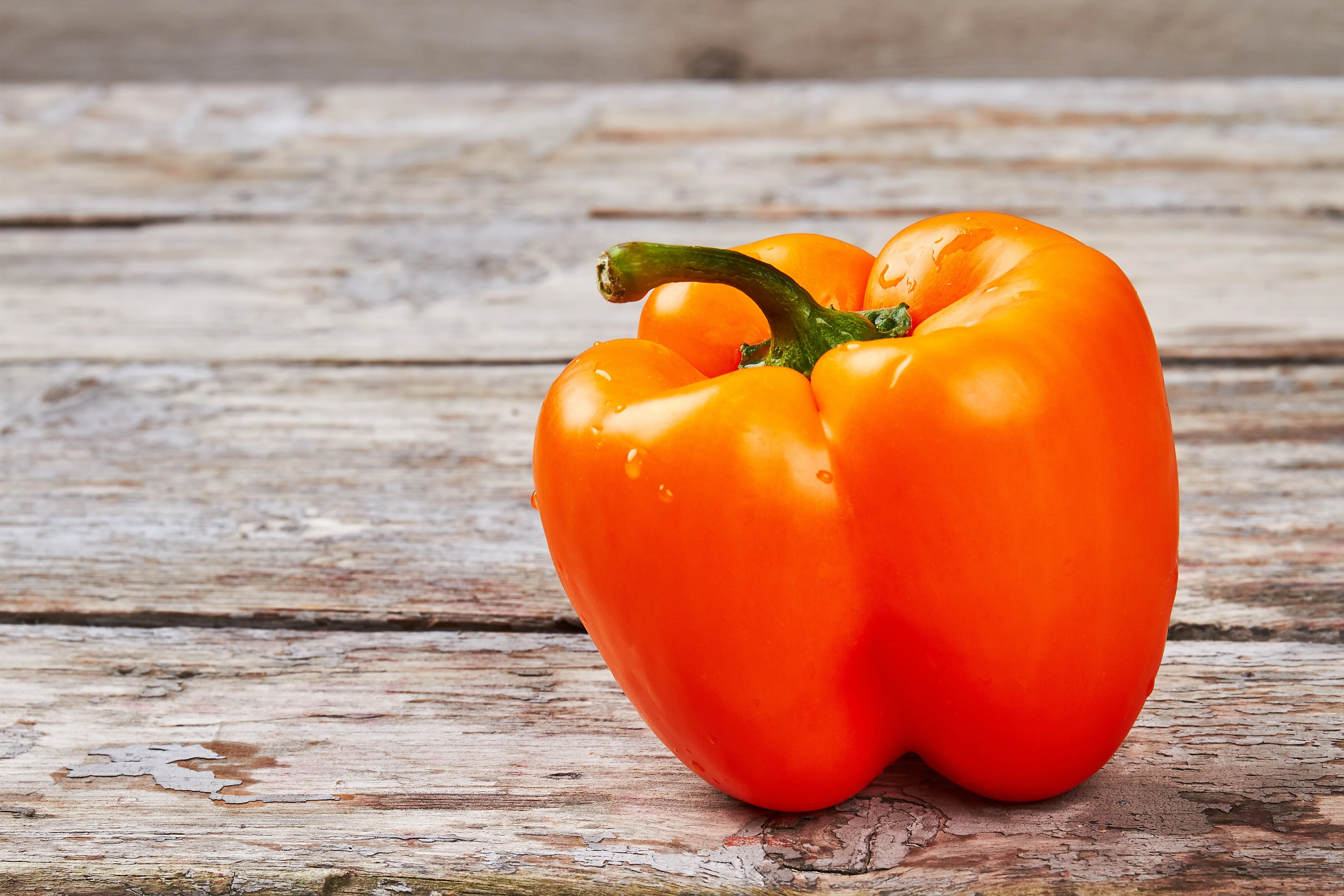 50 ORANGE Sun BELL PEPPER Sweet Capsicum Vegetable Seeds - Image 5
